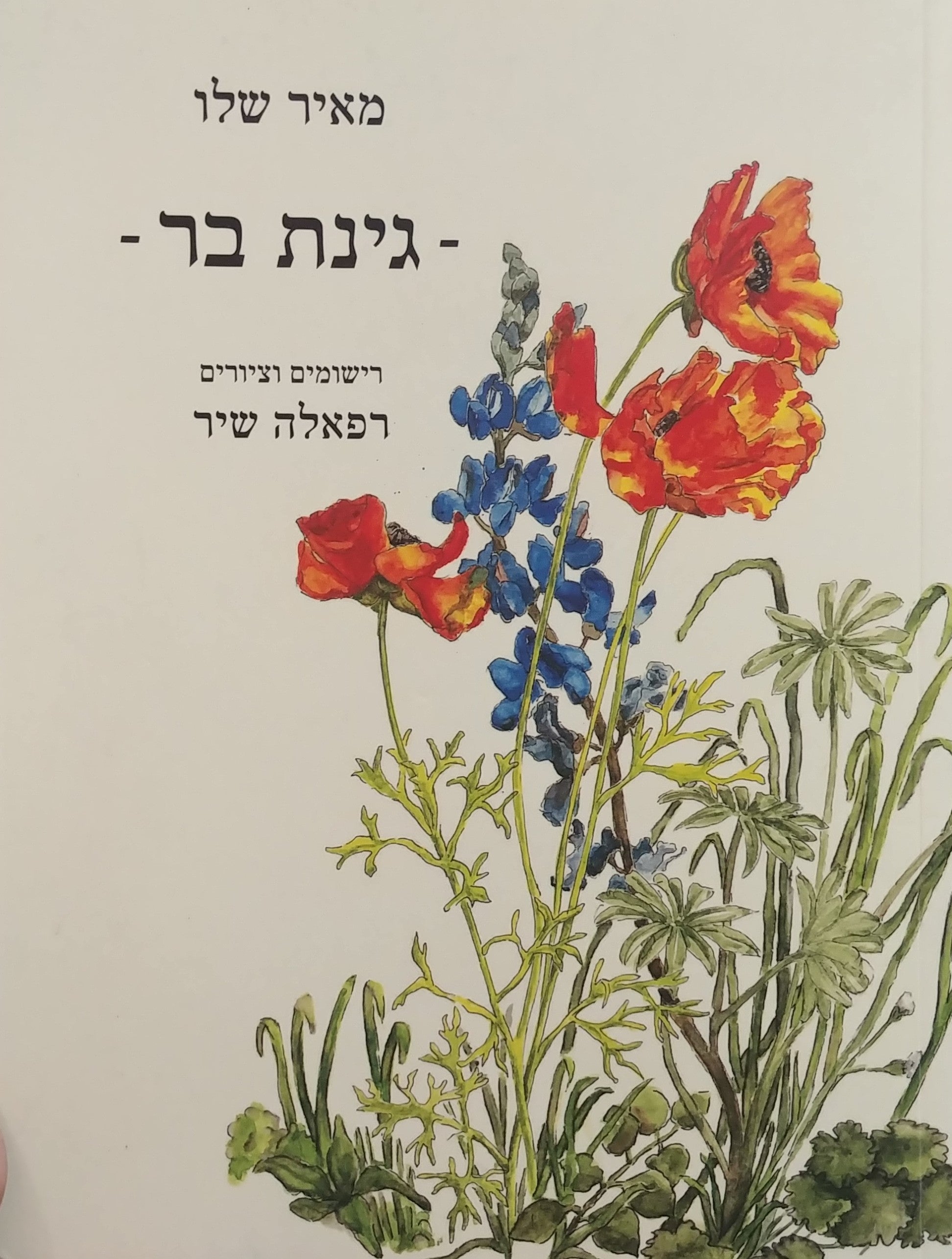 גינת בר / מוקדש לא.ב. יהושע על ידי מאיר שלו