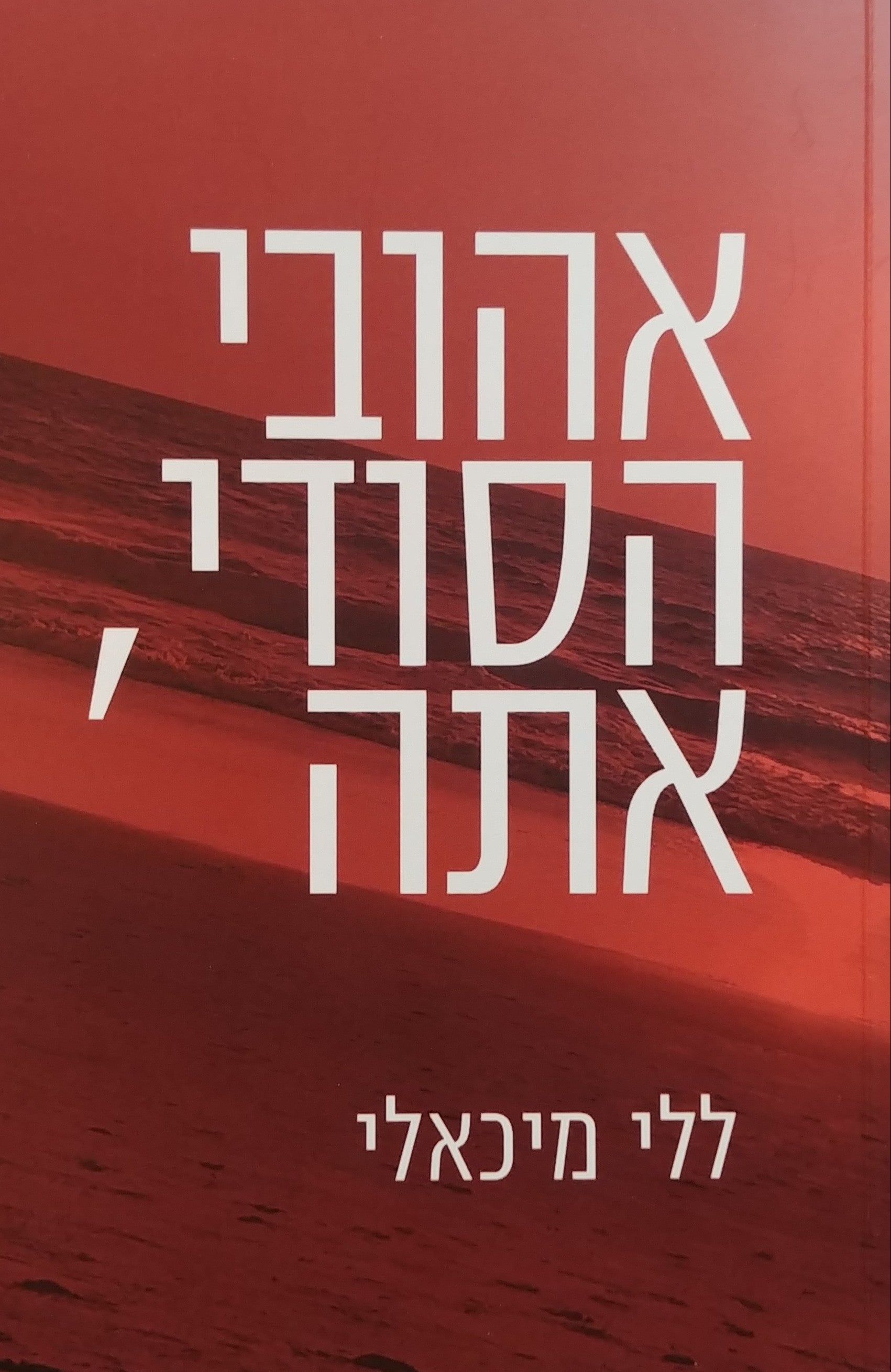 אהובי הסודי אתה