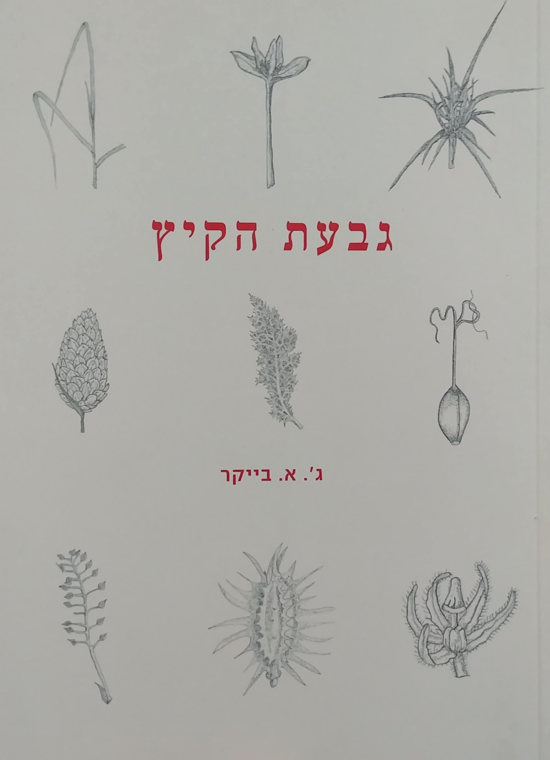 גבעת הקיץ