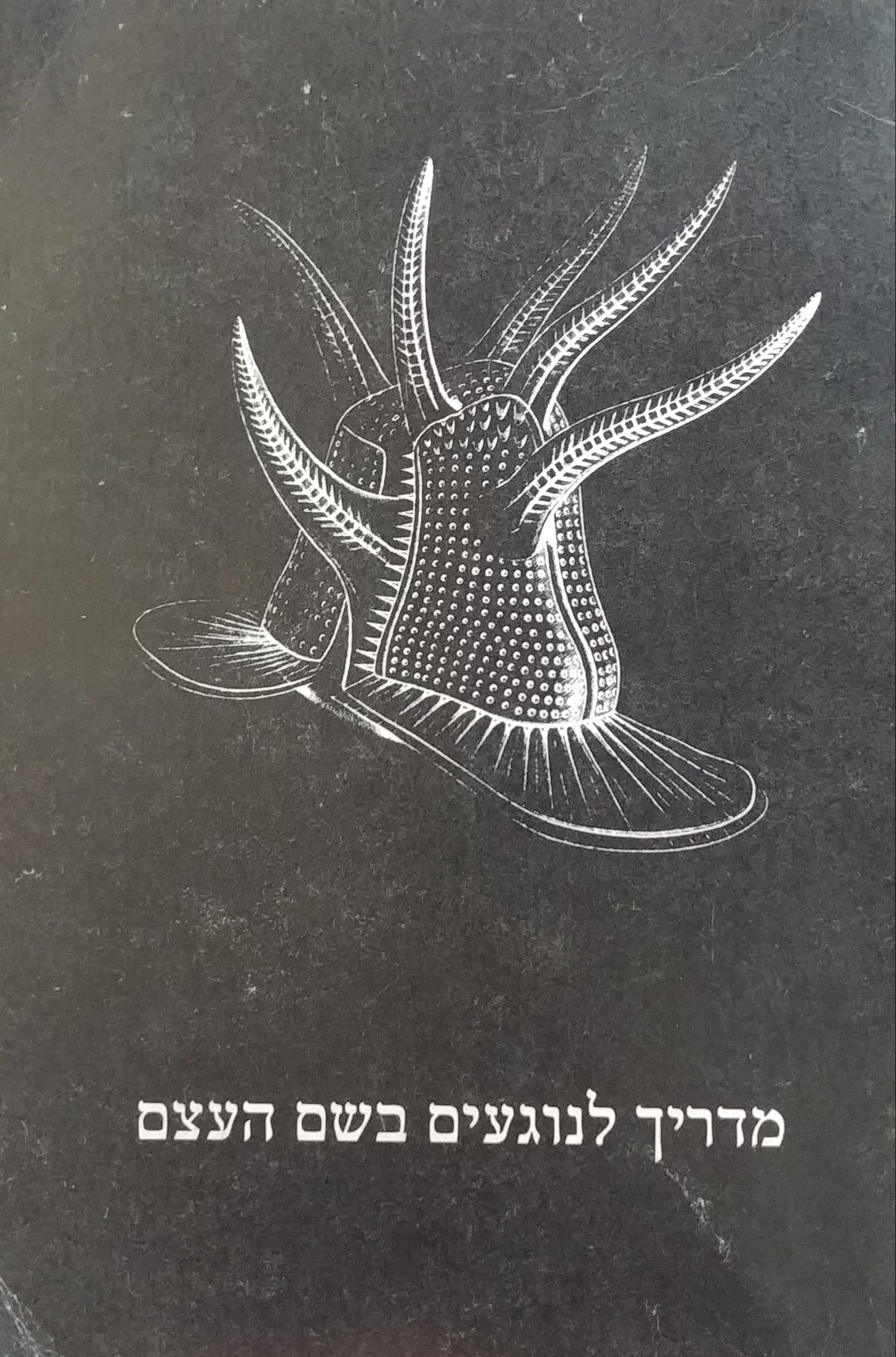 מדריך לנוגעים בשם העצם