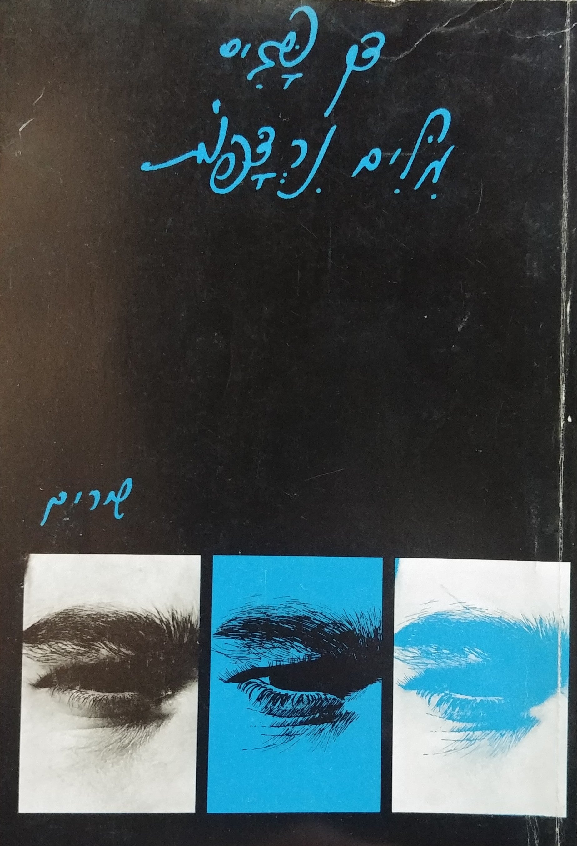 מלים נרדפות / מוקדש וחתום על ידי דן פגיס