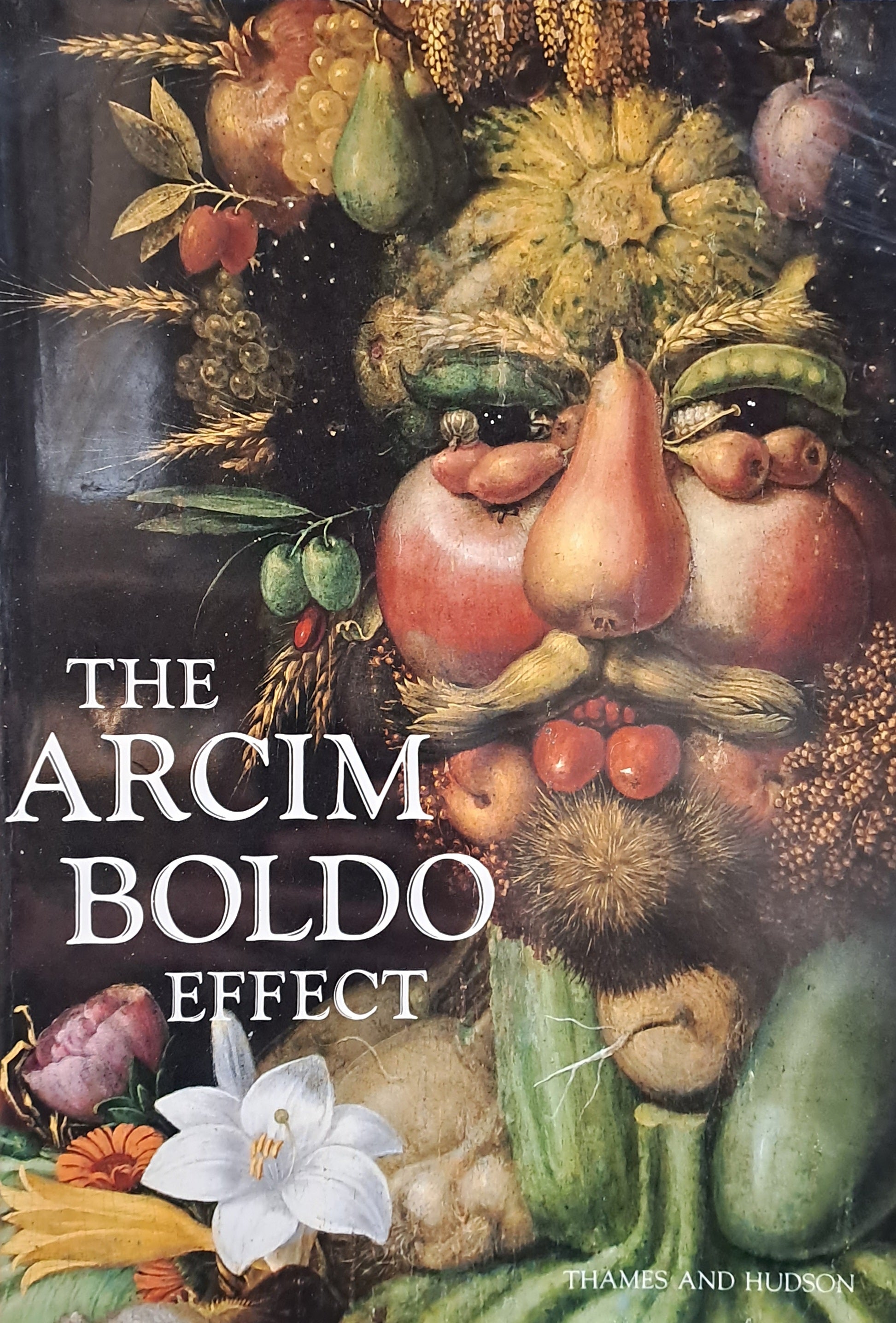 THE ARCIMBOLDO EFFECT/ TRANSFORMATIONS OF THE FACE FROM THE SIXTEENTH TO THE TWENTIETH CENTURY