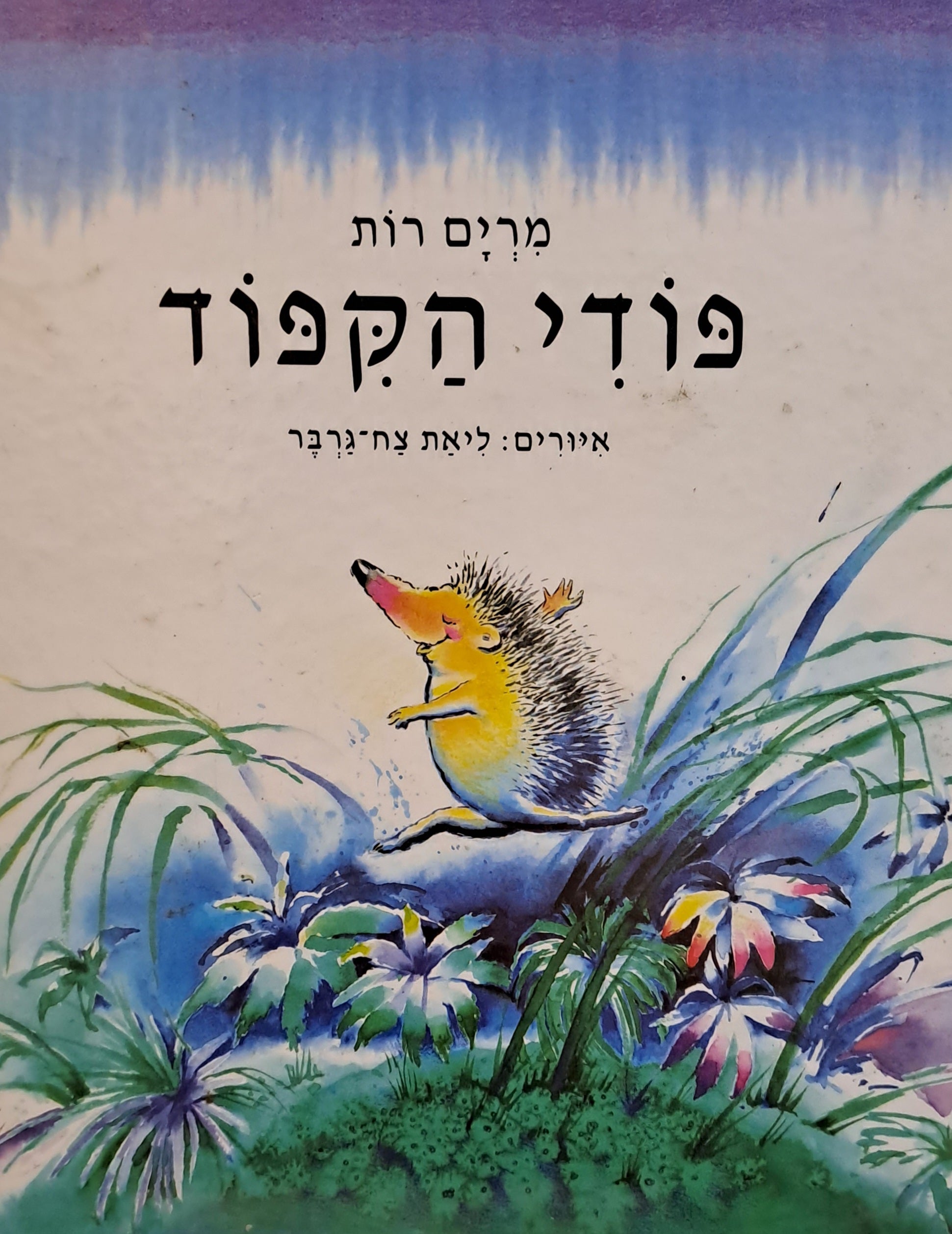 פודי הקפוד