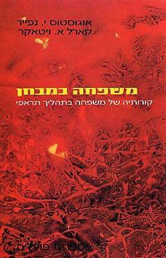 משפחה במבחן / קורותיה של משפחה בתהליך תראפי