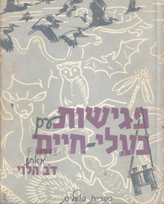 פגישות עם בעלי חיים