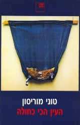העין הכי כחולה / תרגום טל ניצן קרן