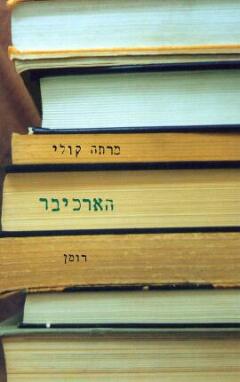 הארכיבר / רומן