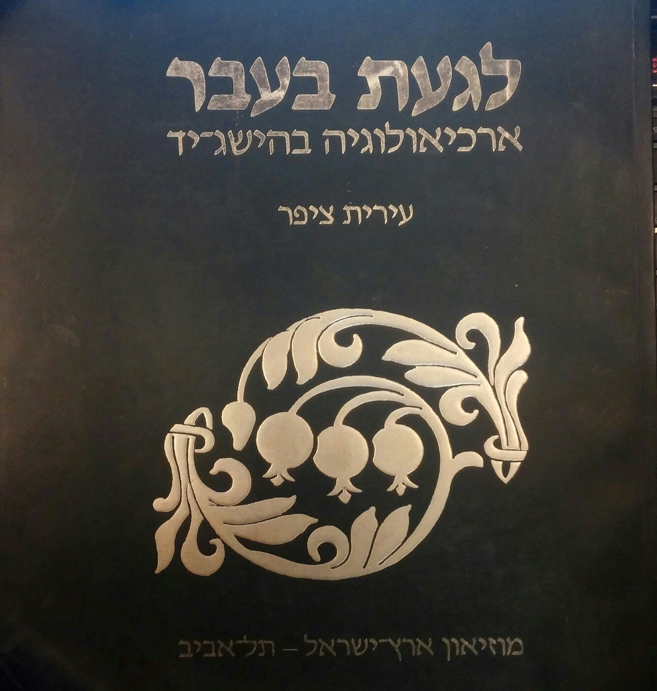 לגעת בעבר / ארכיאולוגיה בהישג-יד