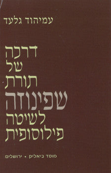 דרכה של תורת שפינוזה לשיטה פילוסופית