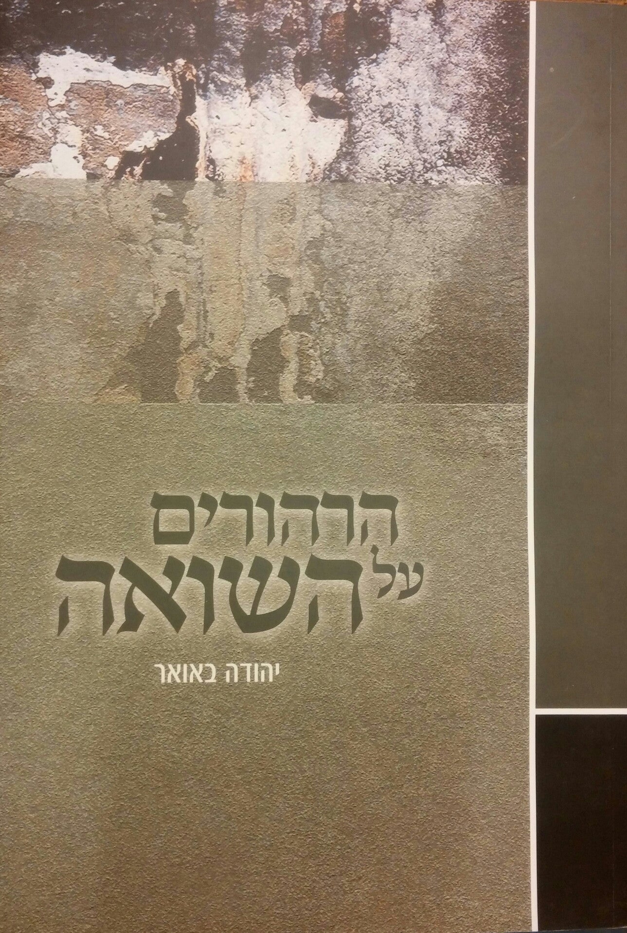 הרהורים על השואה