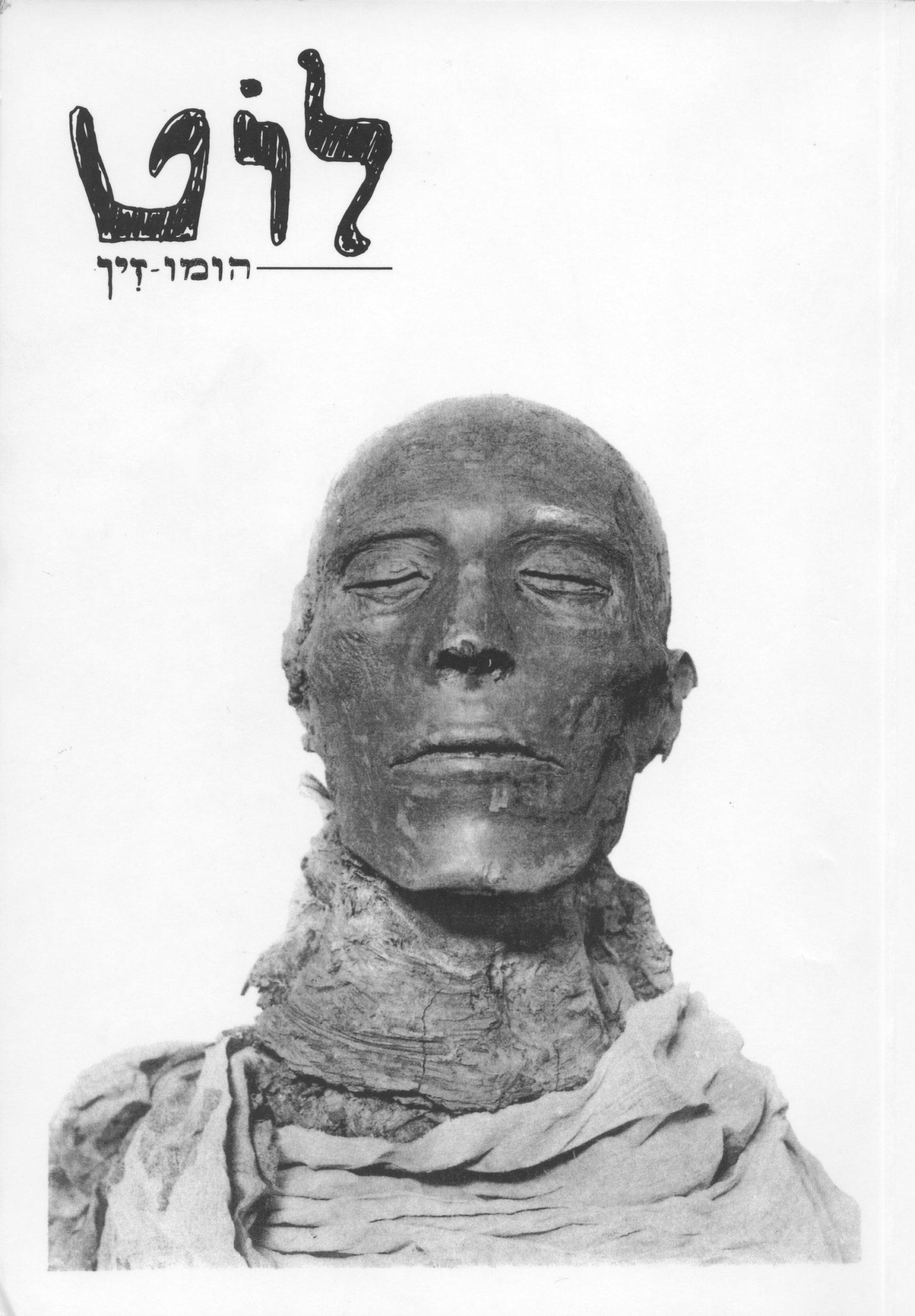 לוט הומו-זין / גליון 003