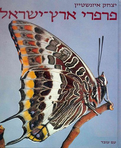 פרפרי ארץ-ישראל