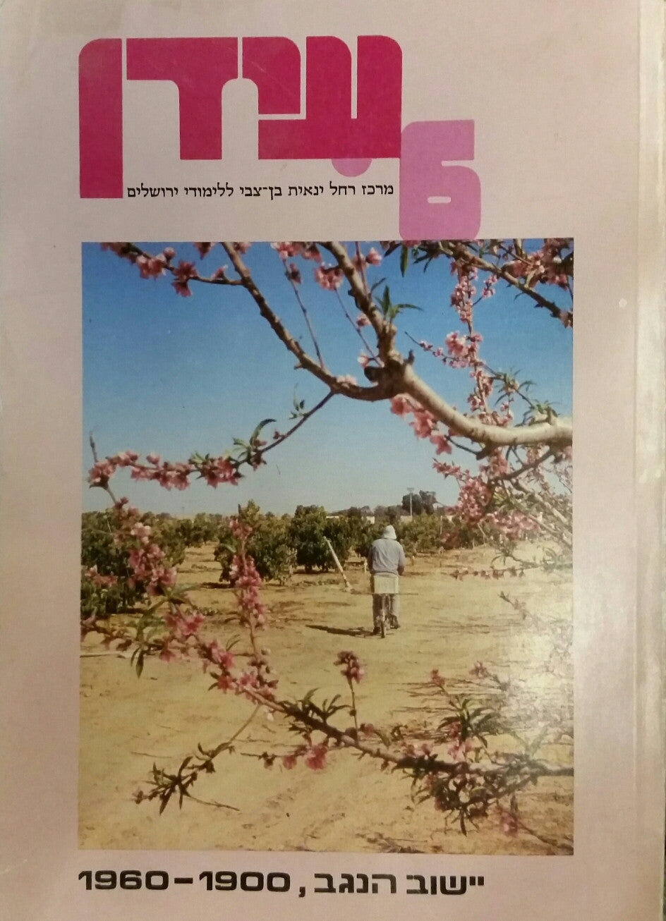 יישוב הנגב, 1960-1900