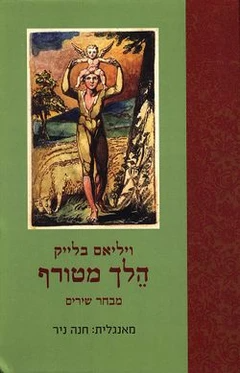 הלך מטורף / מבחר שירים