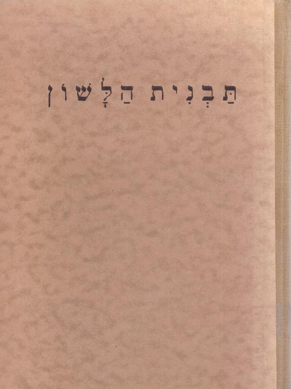 תבנית הלשון / עם כללי קצור הנקוד למעשה