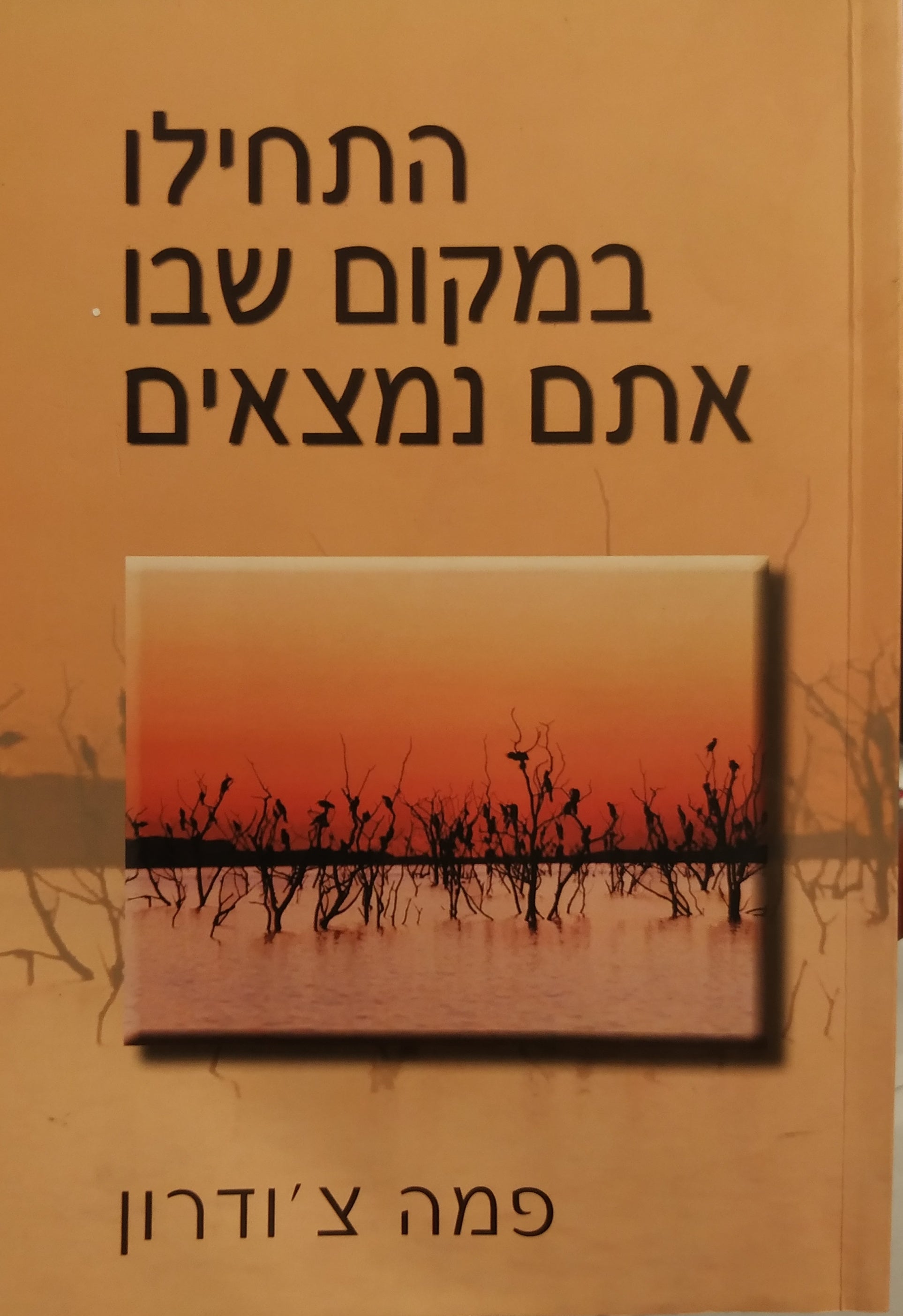 התחילו במקום שבו אתם נמצאים / מדריך לחיים מלאי חמלה