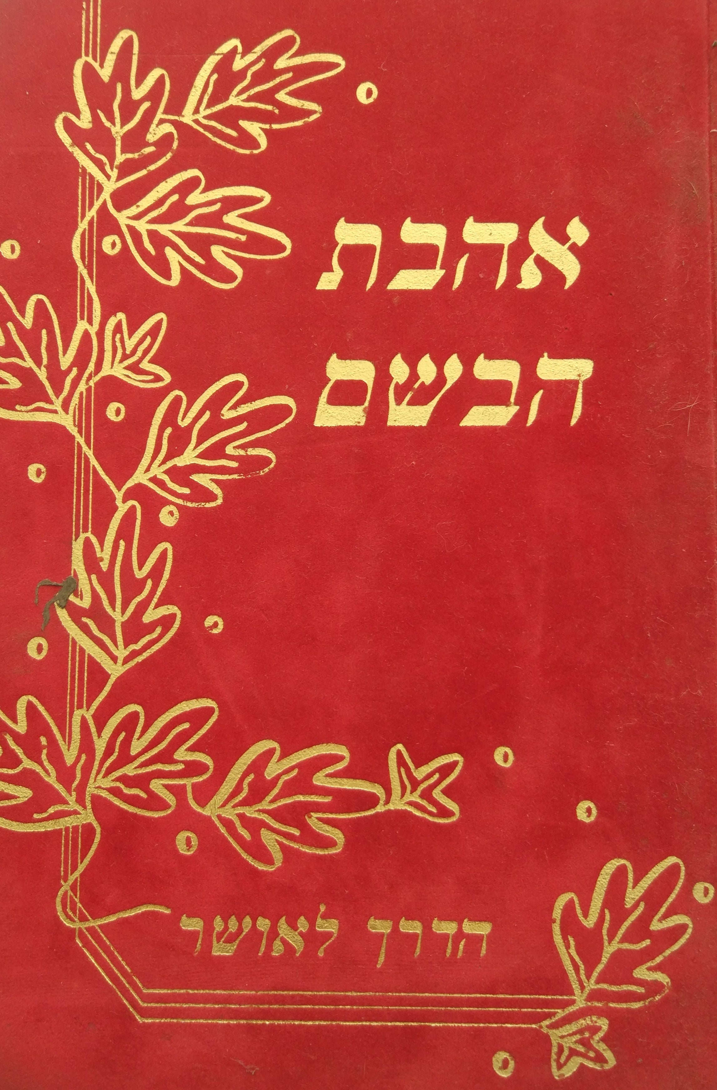 אהבת הבשם / בדרך אל האושר