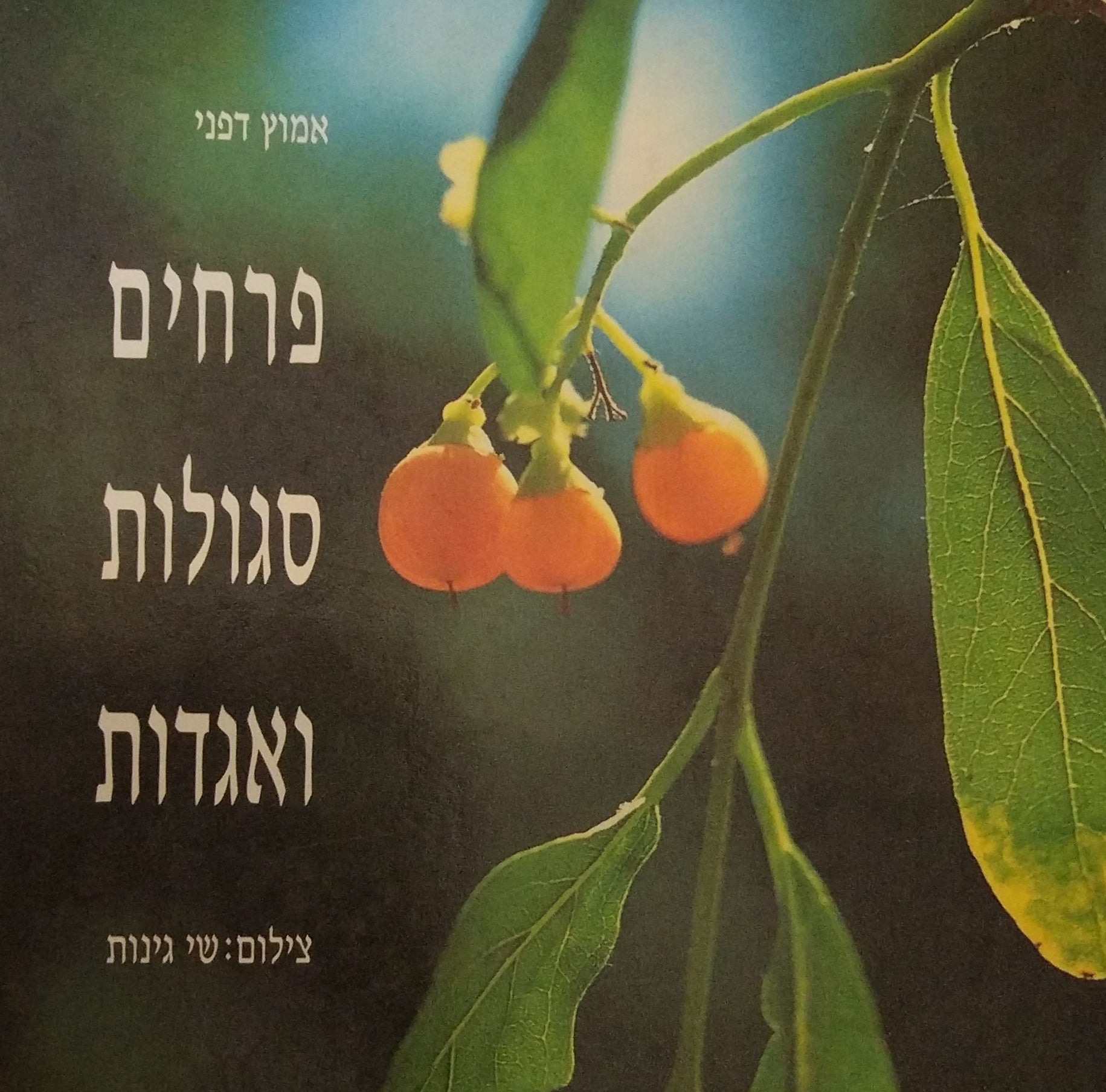 פרחים, סגולות ואגדות