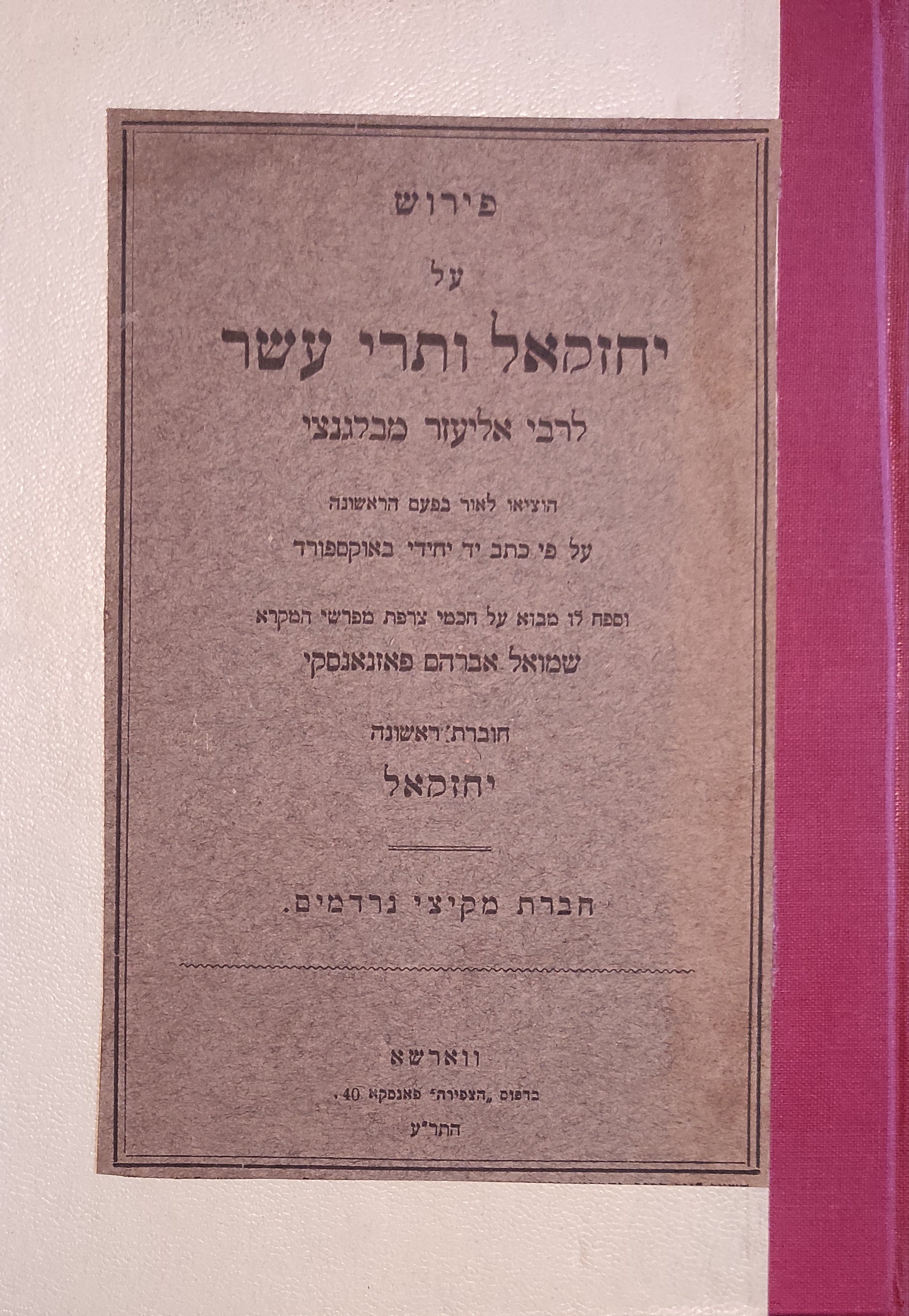 פירוש על יחזקאל ותרי עשר / חוברת ראשונה: יחזקאל