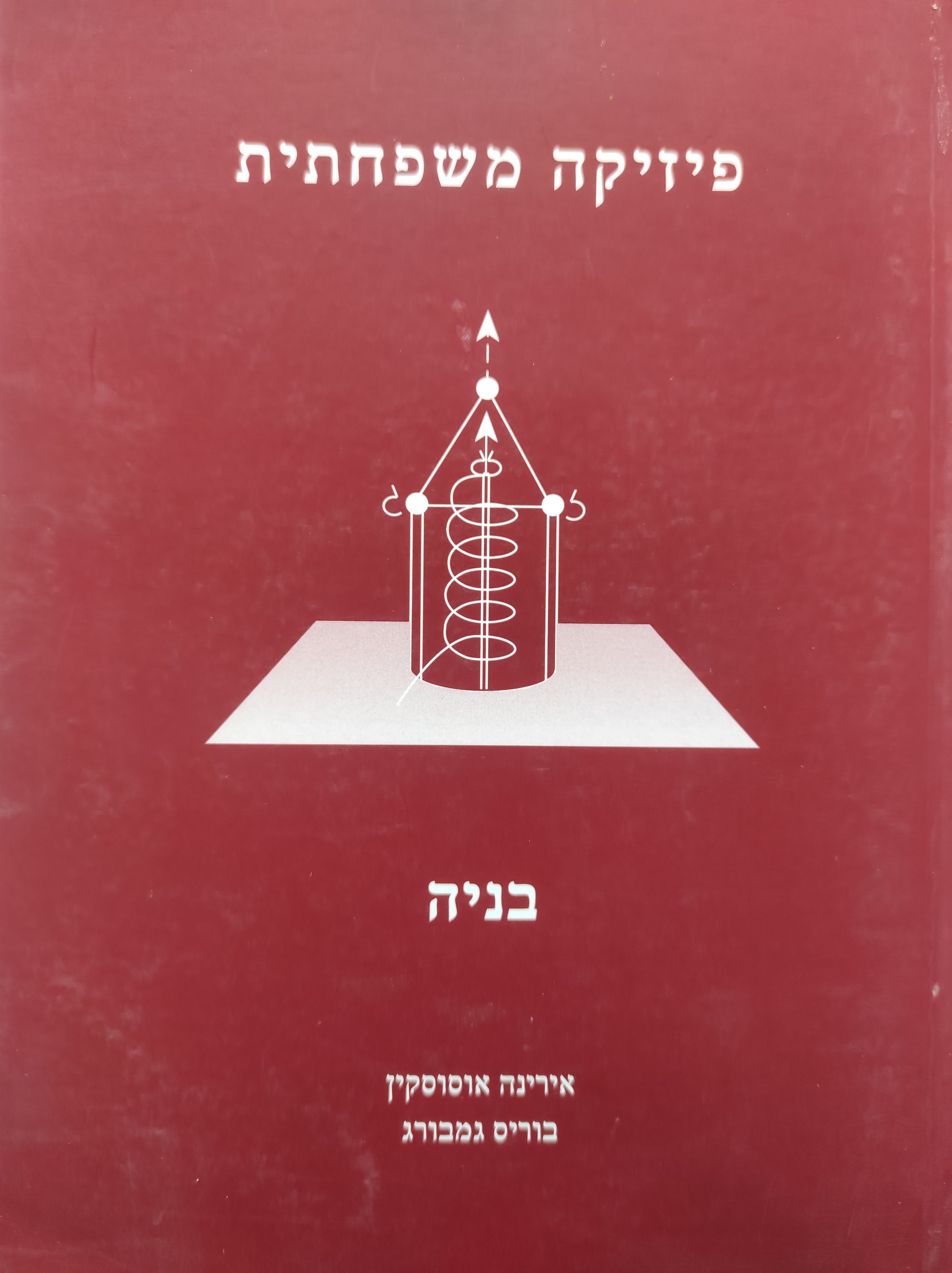 פיזיקה משפחתית / בניה