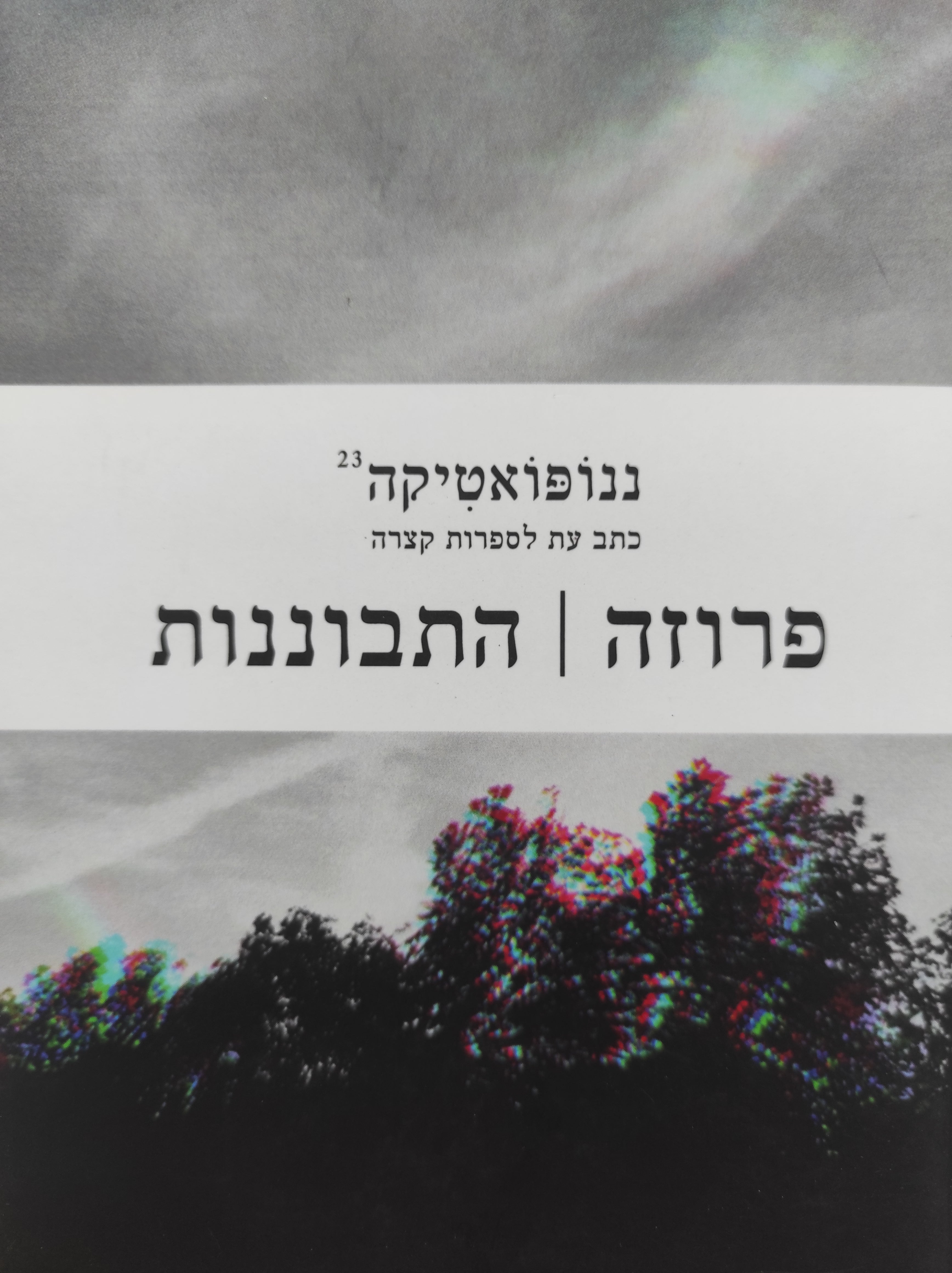 ננופואטיקה 23 / פרוזה התבוננות