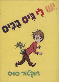 יש לי ג'יס בכיס