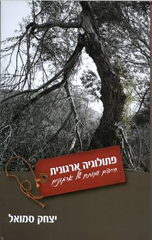 פתולוגיה ארגונית / חייהם ומותם של ארגונים