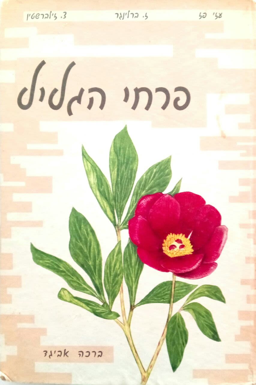 פרחי הגליל