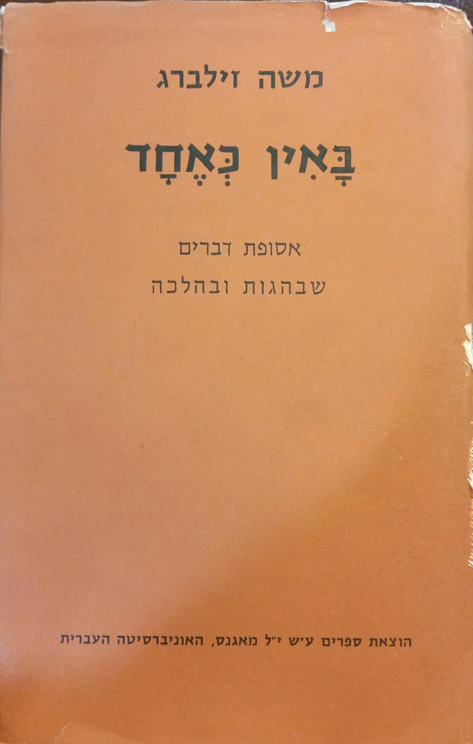 באין כאחד / אסופת דברים שבהגות ובהלכה