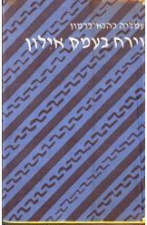 וירח בעמק אילון