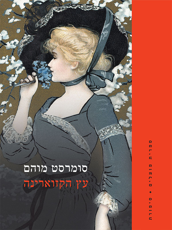 עץ הקזוארינה