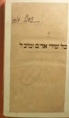 שירי אמ