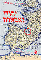 יהודי נאבארה בשלהי ימי הביניים