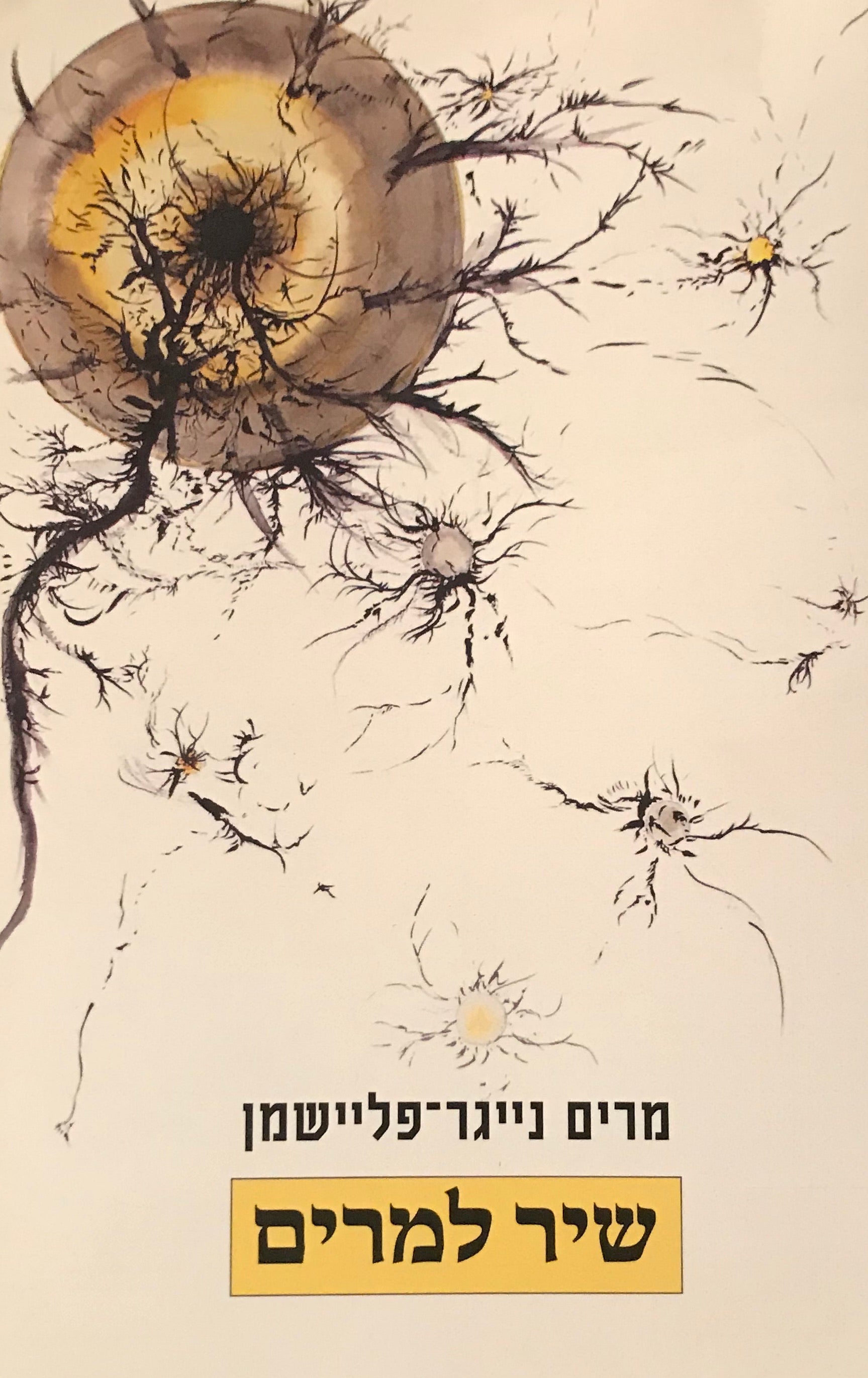 שיר למרים / שירים 2007-2018