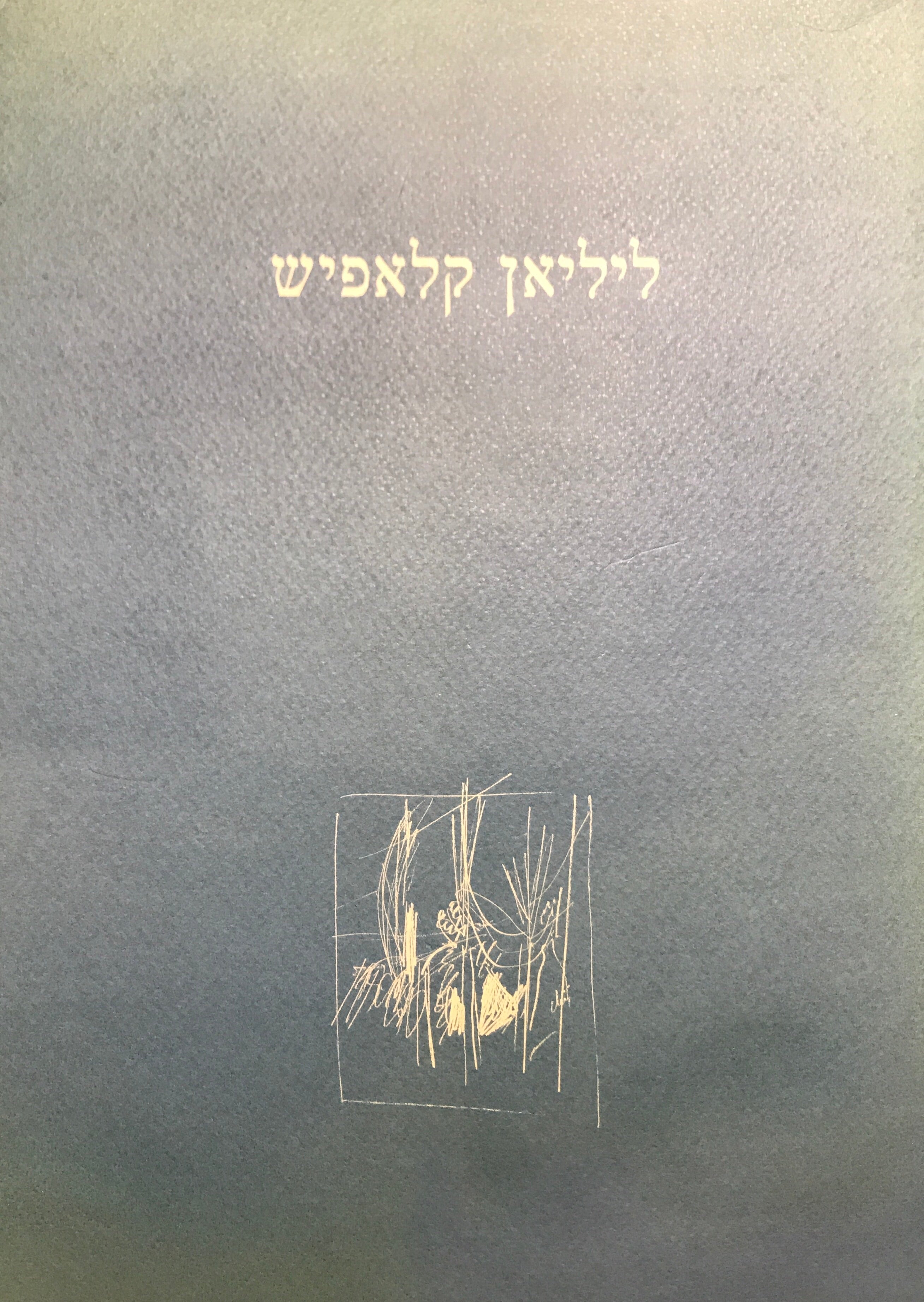 ליליאן קלאפיש/ ציורים 1993-1996
