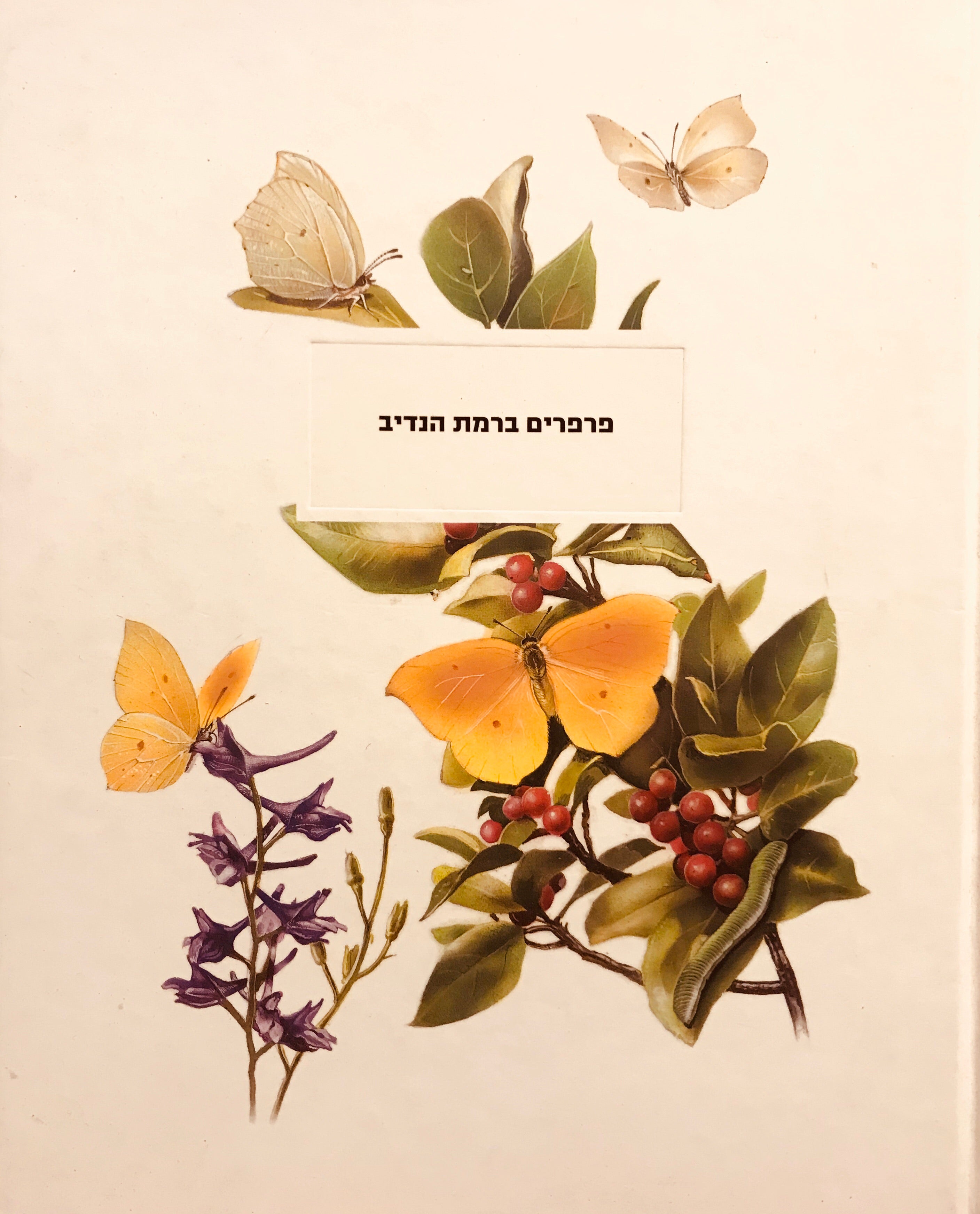 פרפרים ברמת הנדיב