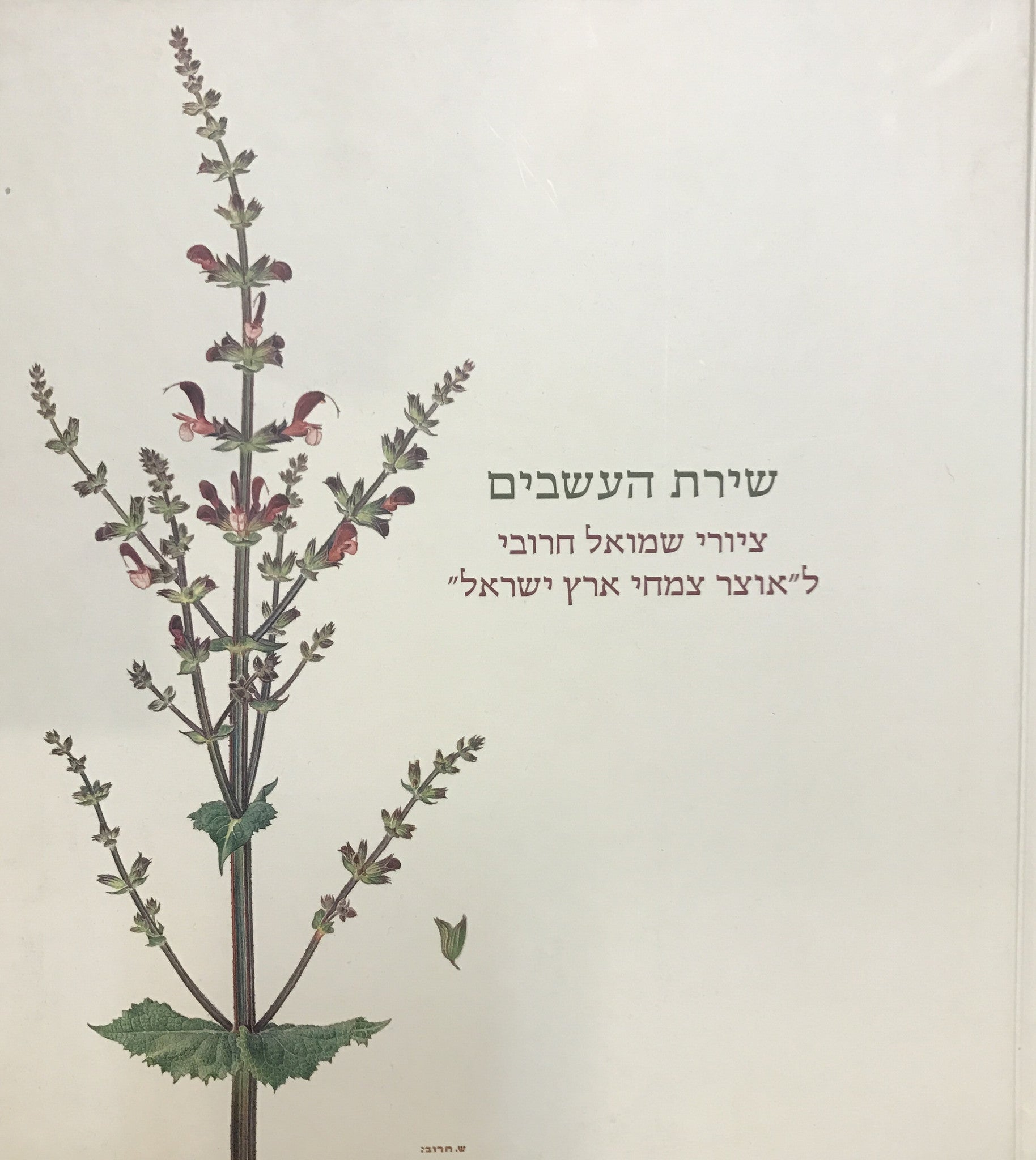 שירת העשבים / ציורים לאוצר צמחי ארץ ישראל מאת אפרים וחנה הראובני
