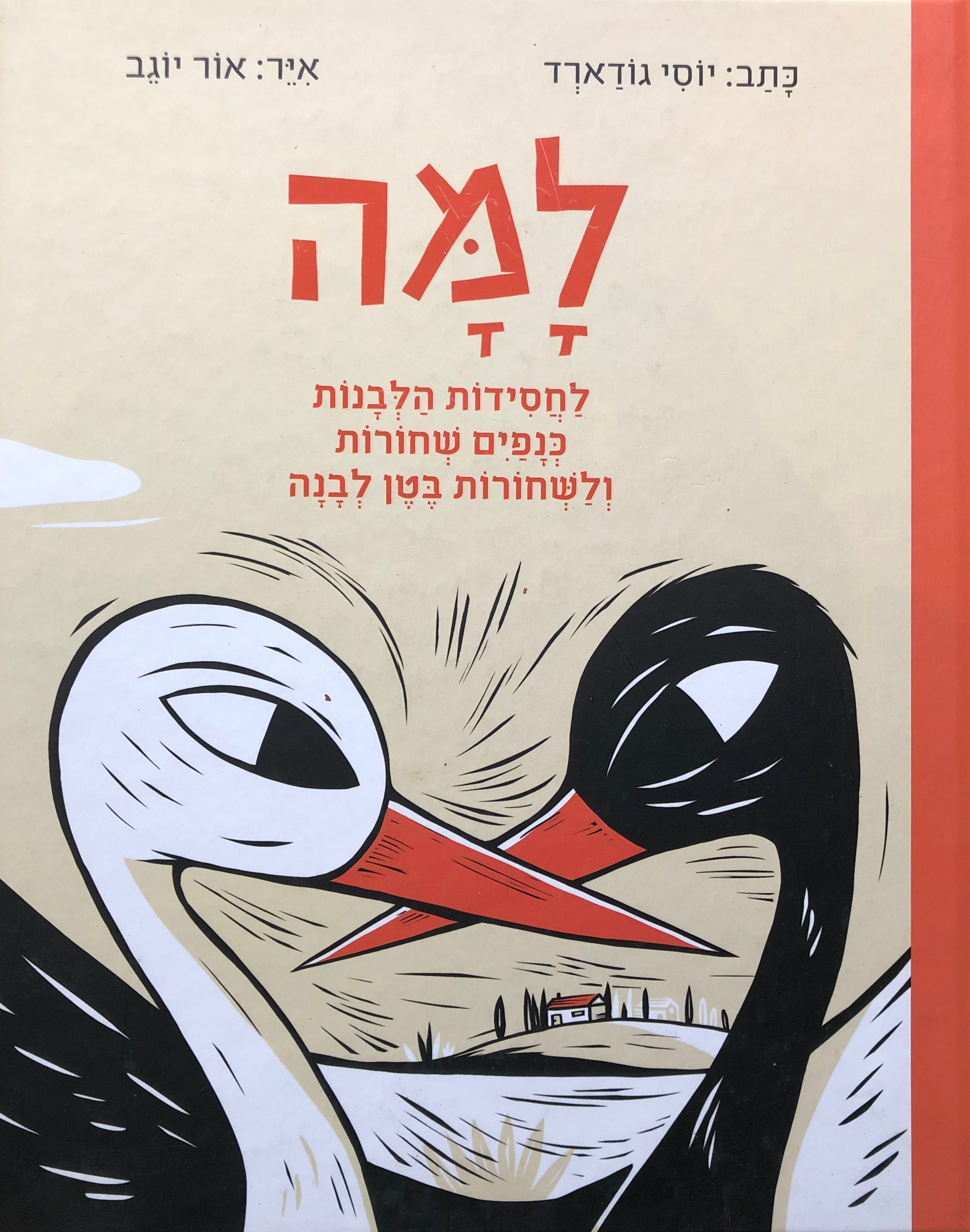למה לחסידות הלבנות כנפים שחורות ולשחורות בטן לבנה