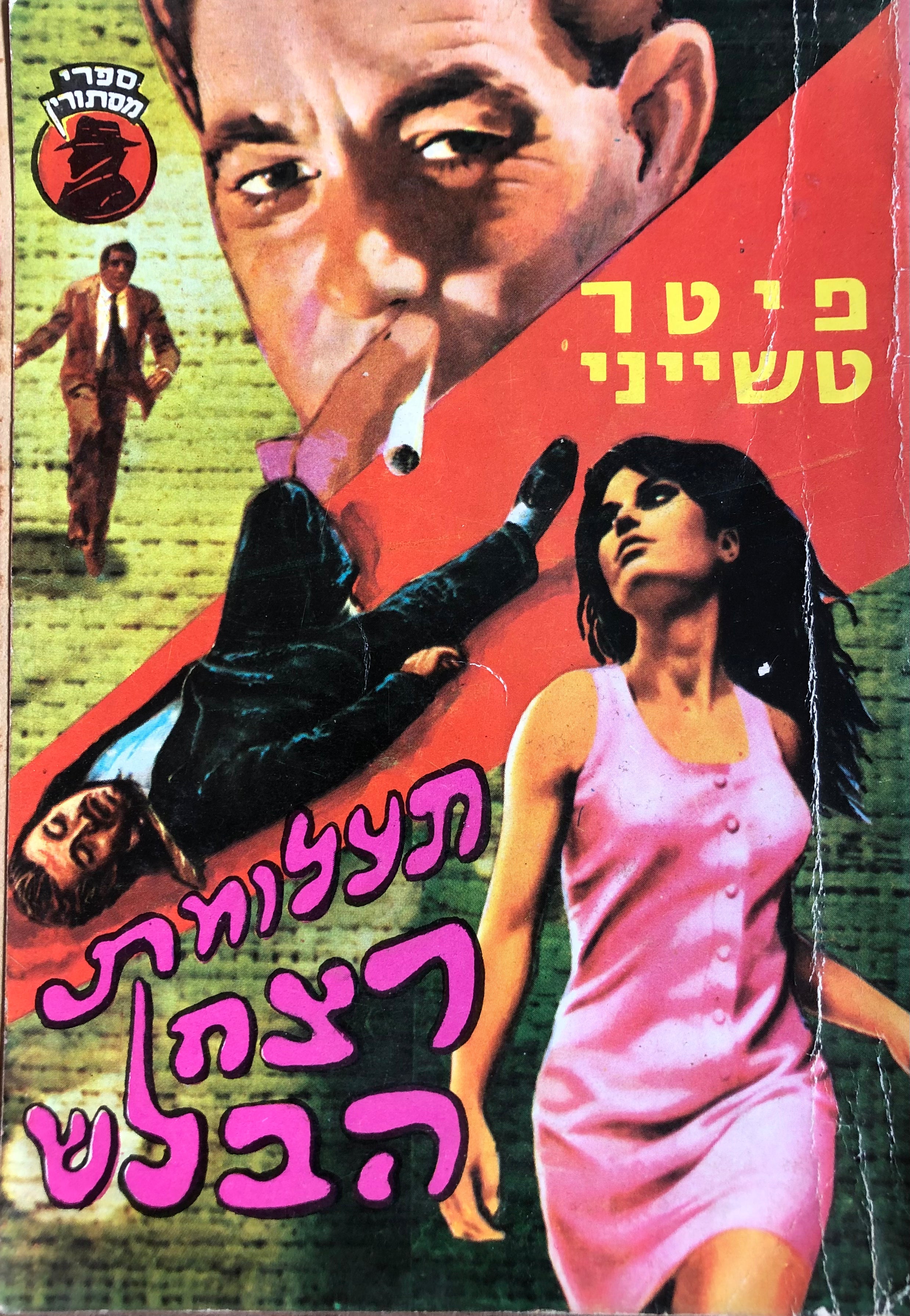 תעלומת רצח הבלש