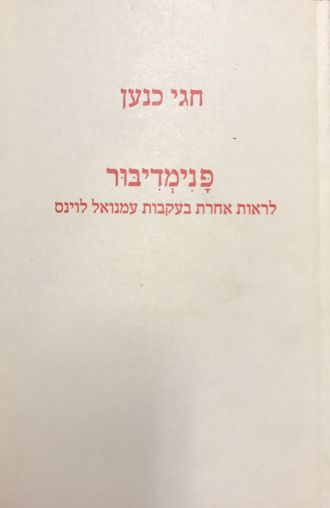 פנימדיבור: לראות אחרת בעקבות עמנואל לוינס