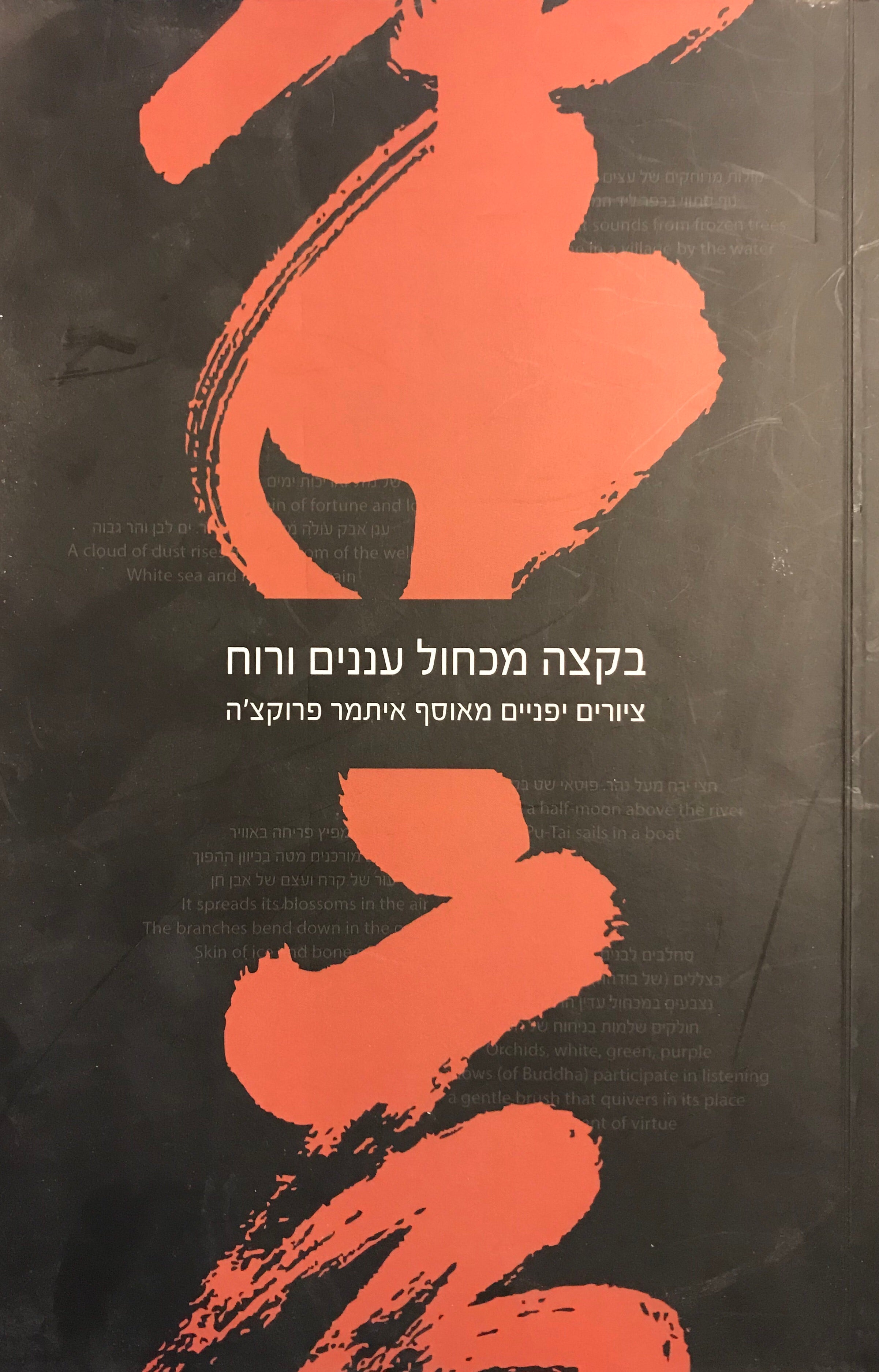 בקצה מכחול עננים ורוח/ ציורים יפניים מאוסף איתמר פרוקצ'ה
