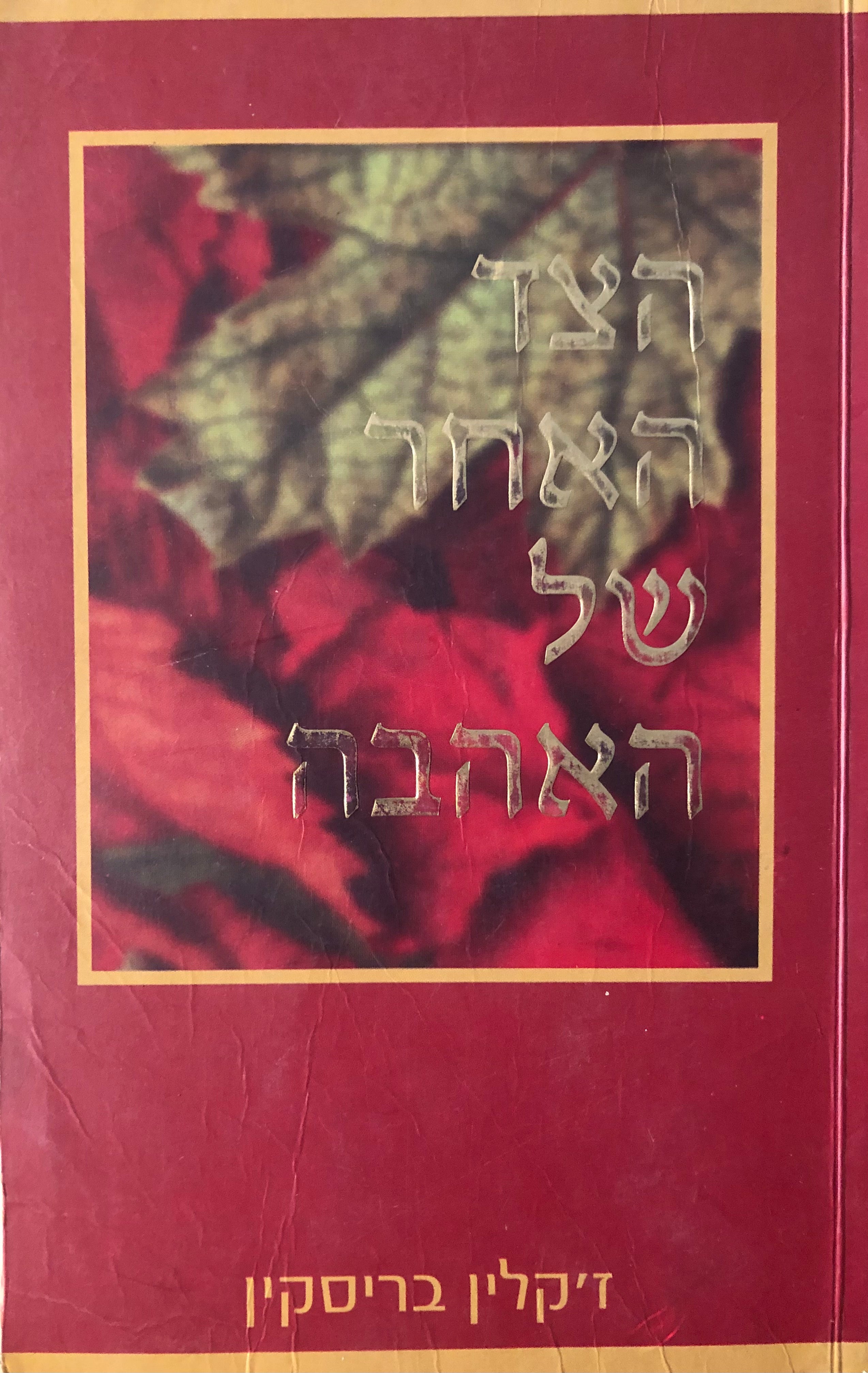הצד האחר של האהבה
