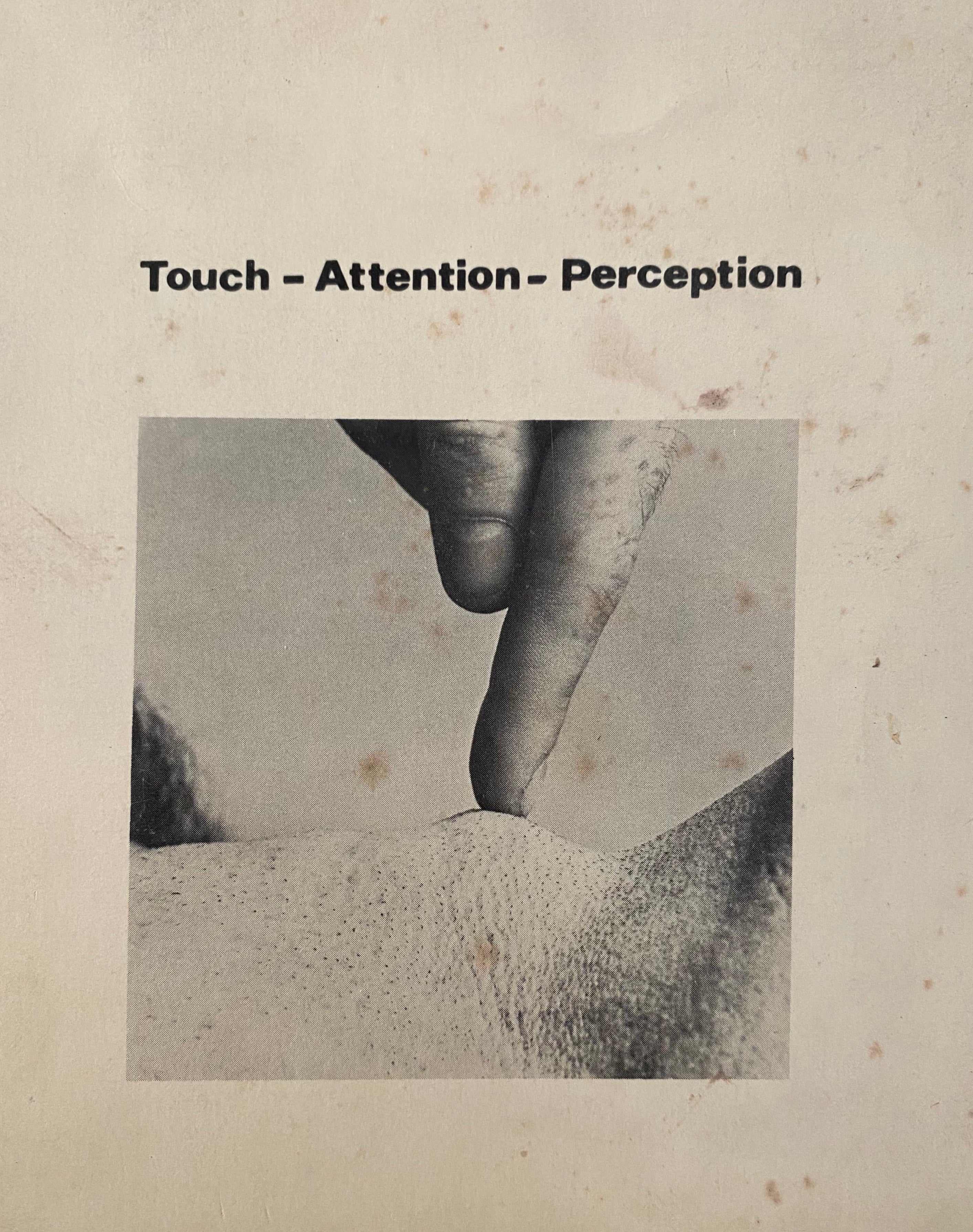 TOUCH- ATTENTION- PERCEPTION/ SIGNED BY MICHAEL DRUKS