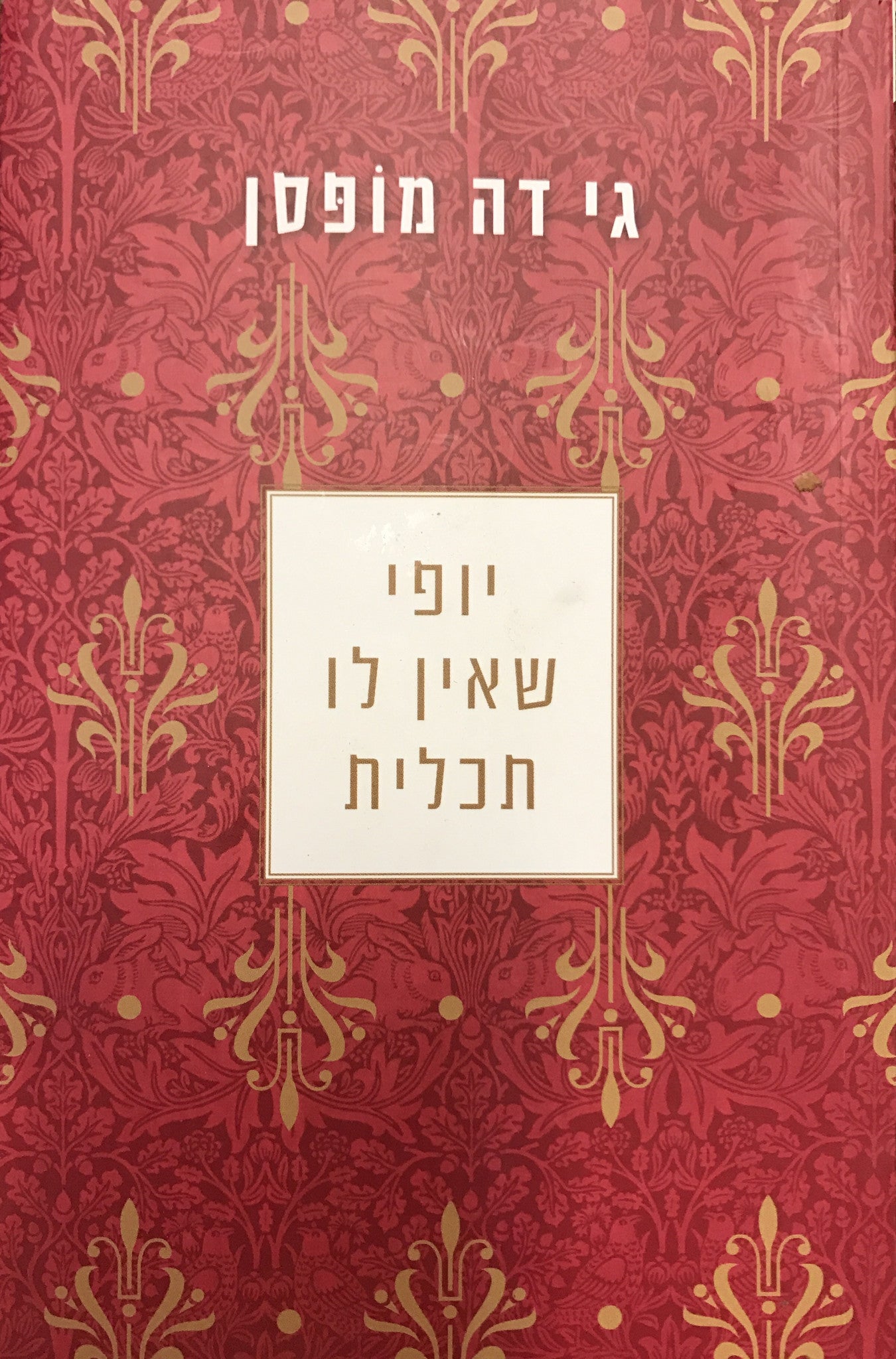 יופי שאין לו תכלית