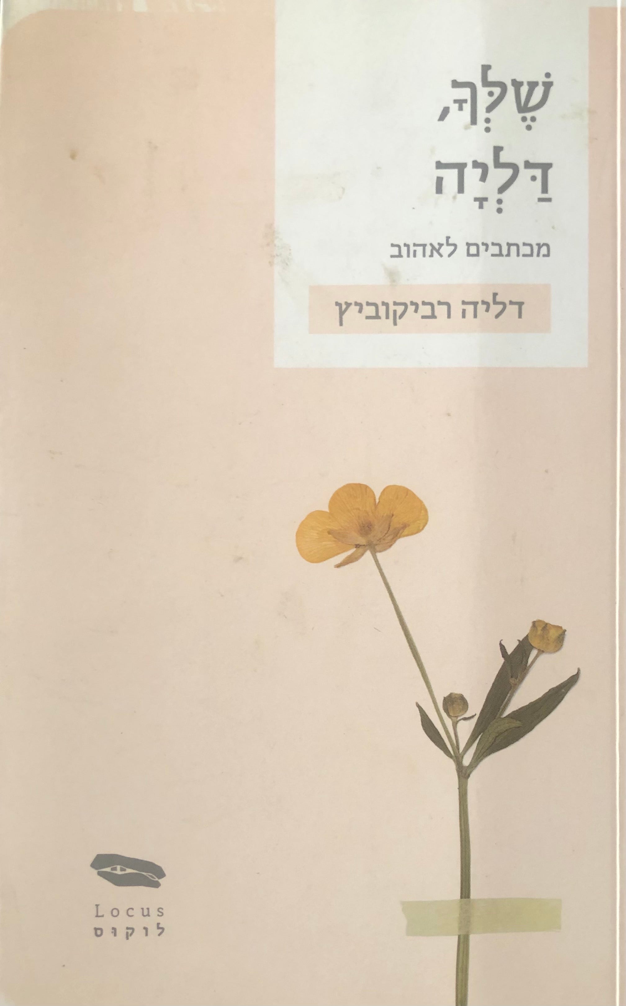 שלך, דליה / מכתבים לאהוב