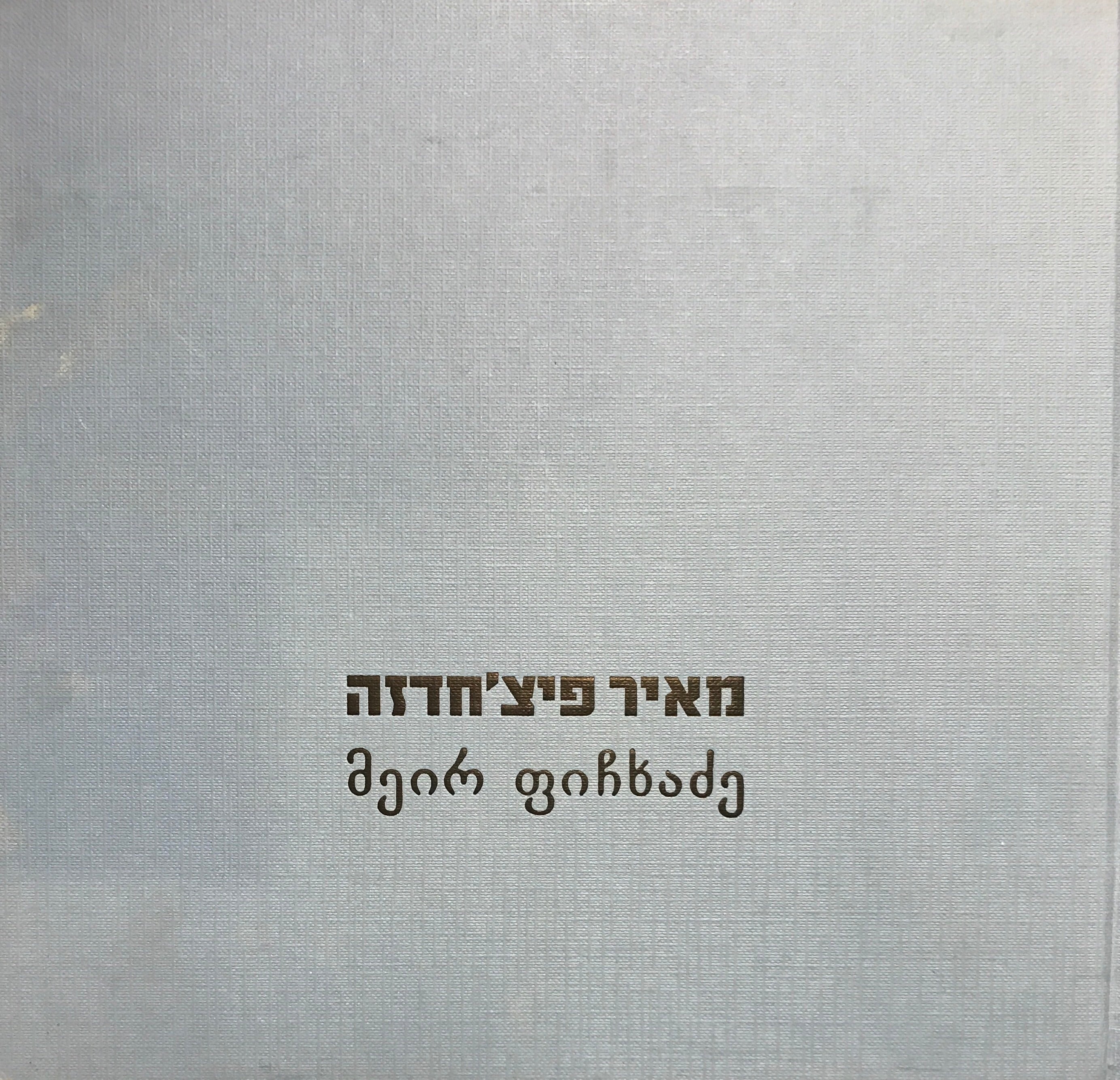 מאיר פיצ'חדזה / אמנות כאוטוביוגרפיה