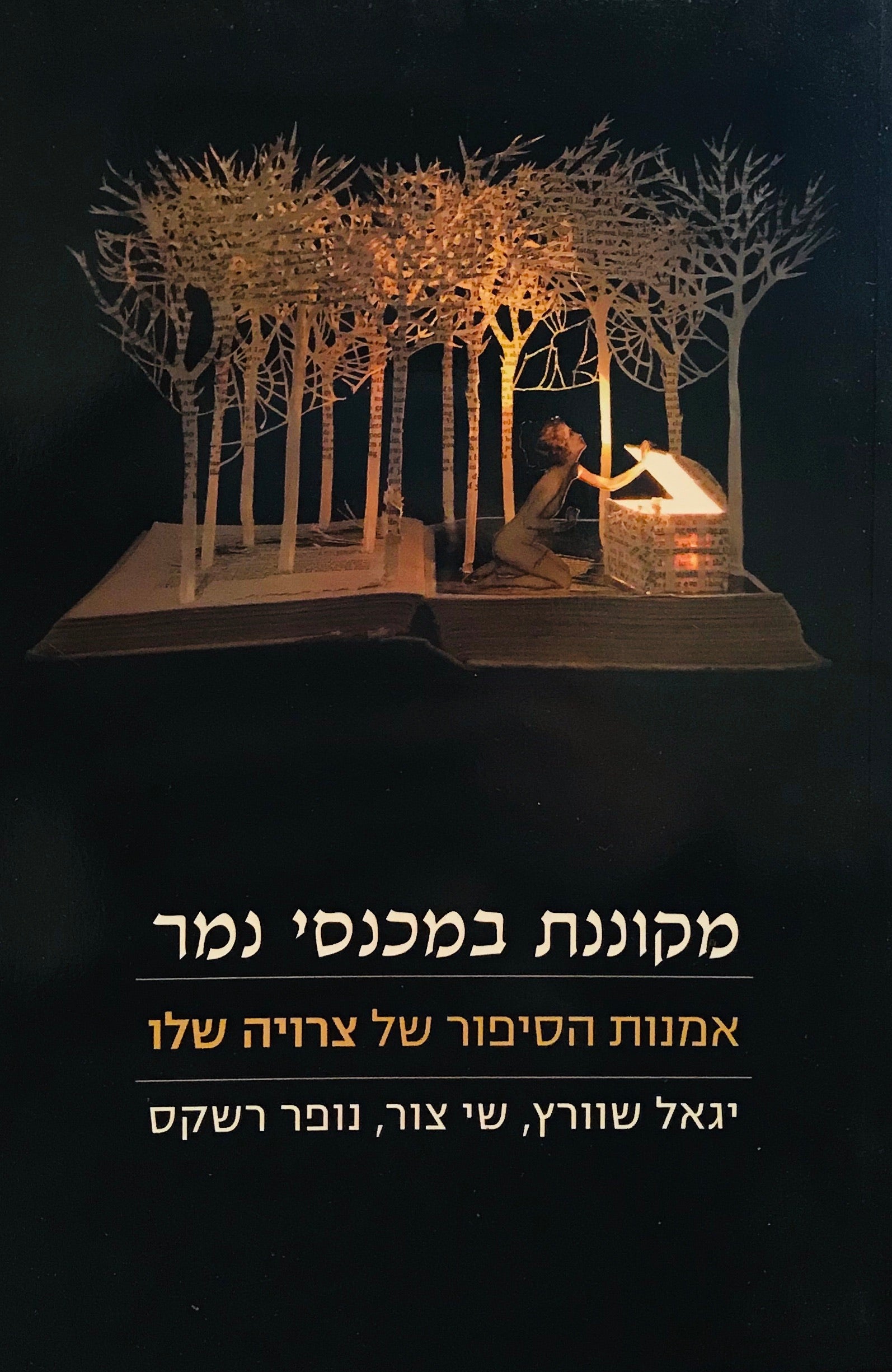 מקוננת במכנסי נמר / אמנות הסיפור של צרויה שלו
