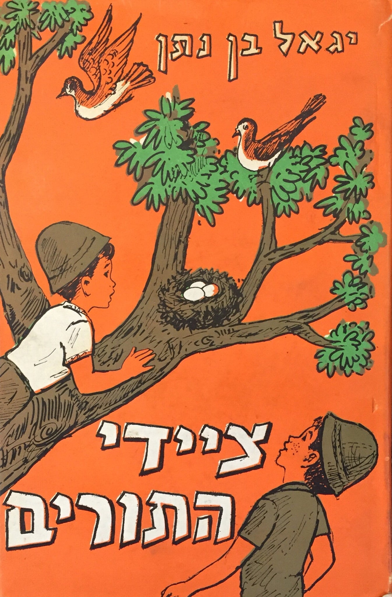 צייד התורים