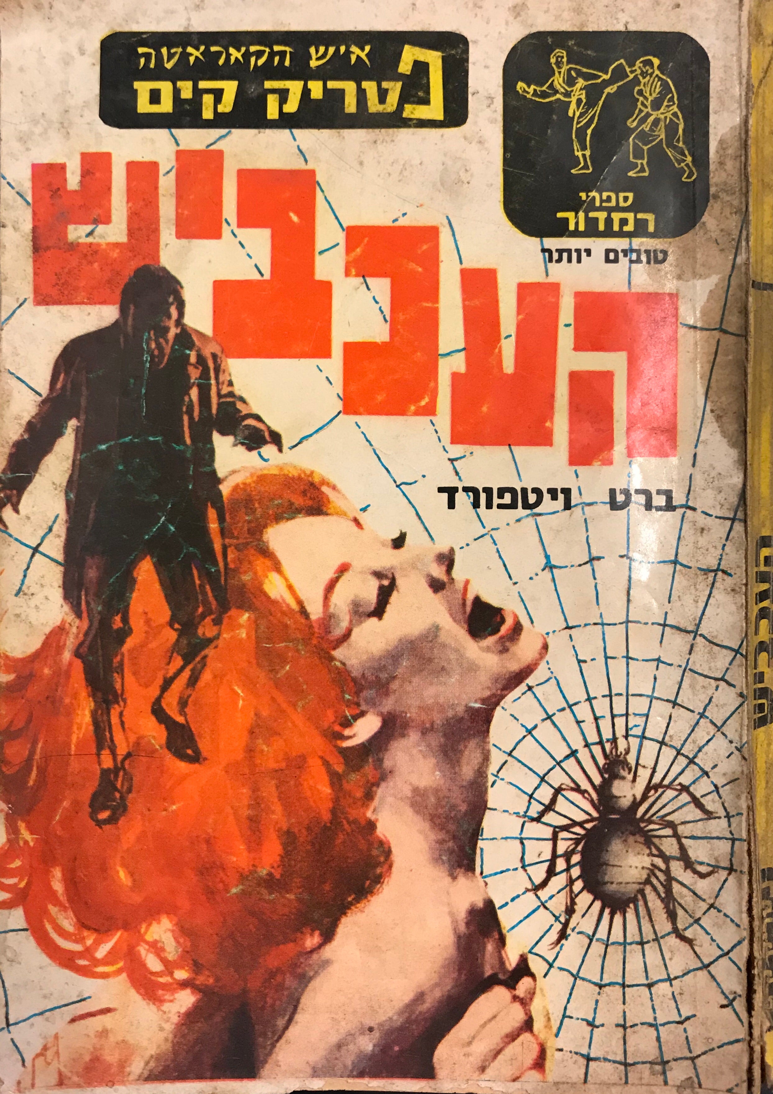 איש הקאראט פטריק קים/ העכביש