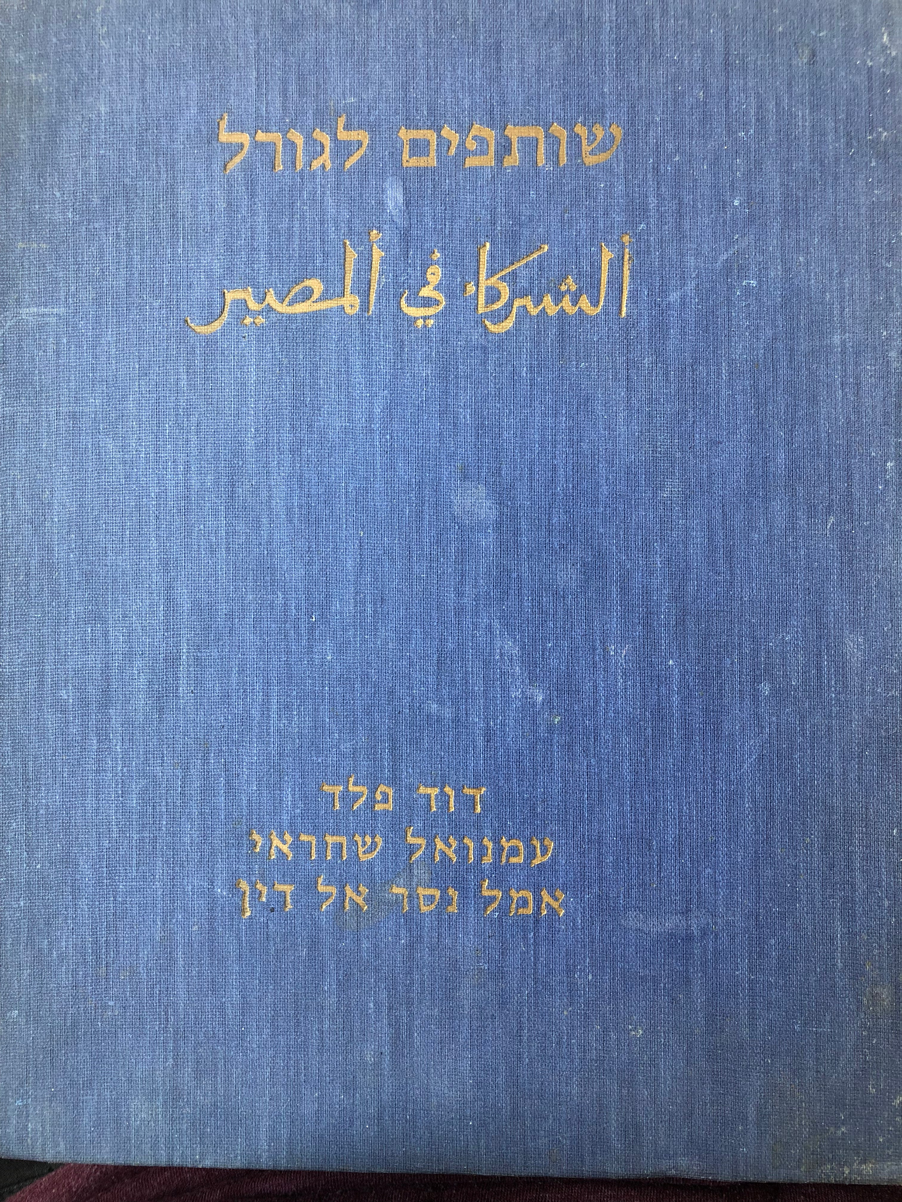 שותפים לגורל/ הדרוזים בישראל